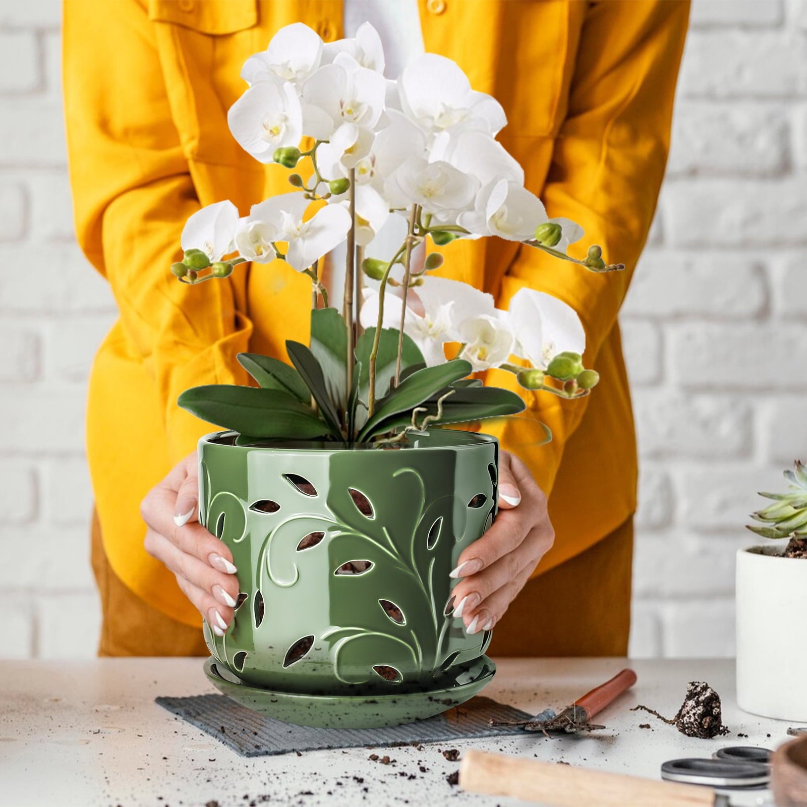 ba275c5e785415401e89f9b7ad2cb495