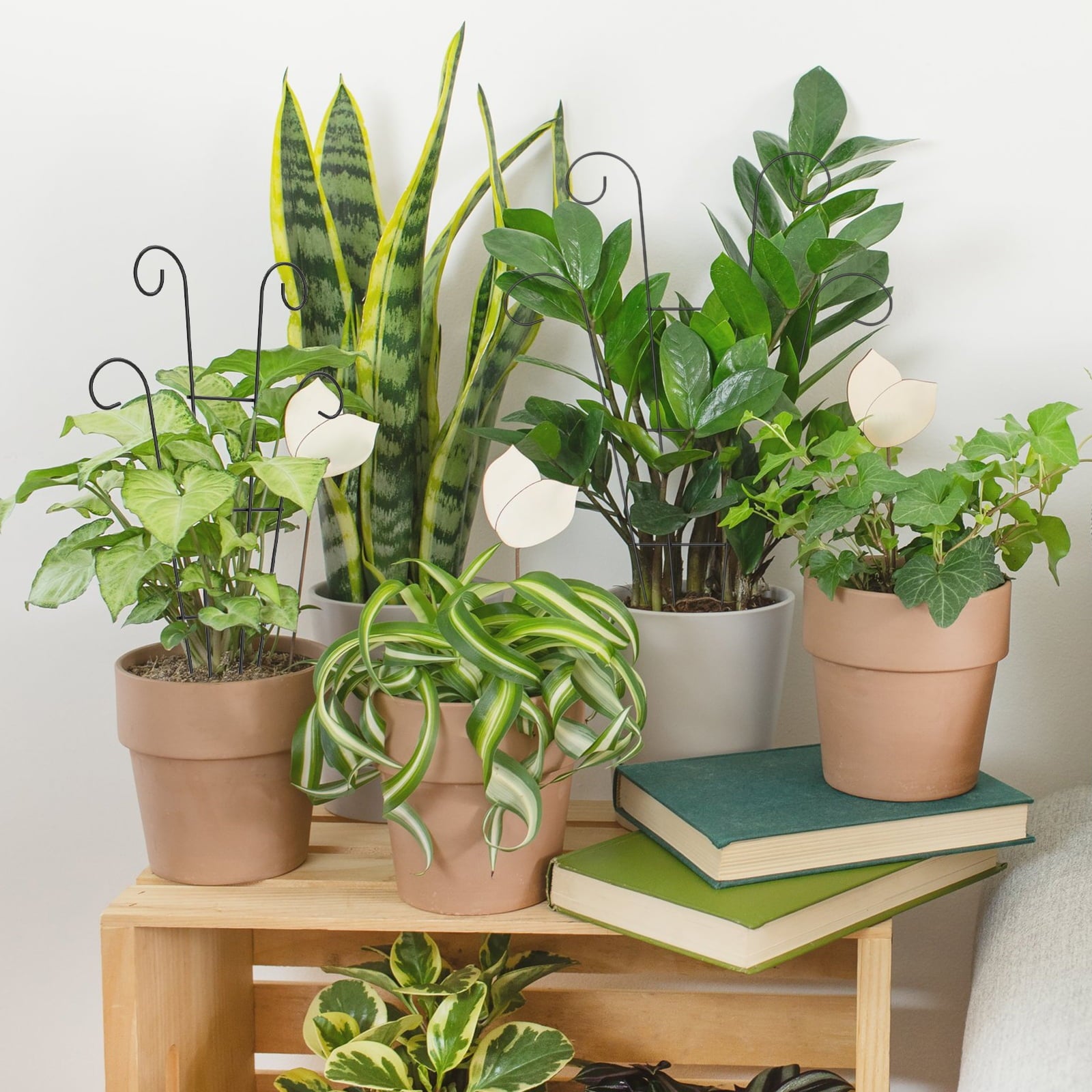 e8566fabbbddb2236da78382a2bc3127