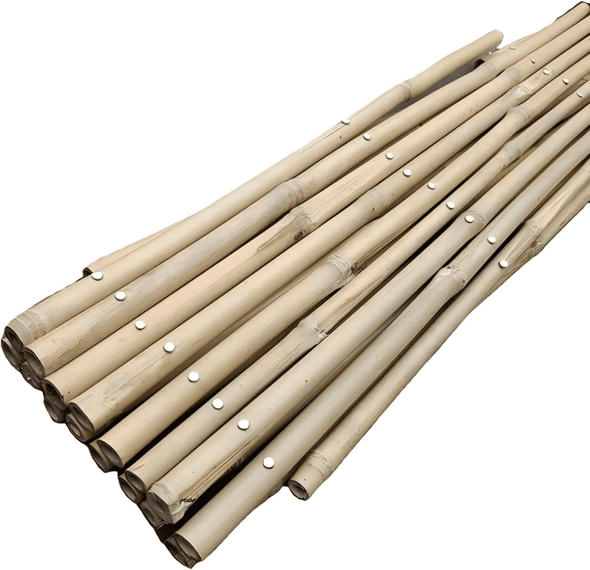 2cfd278ac486a7237b0aca4b78eac31d