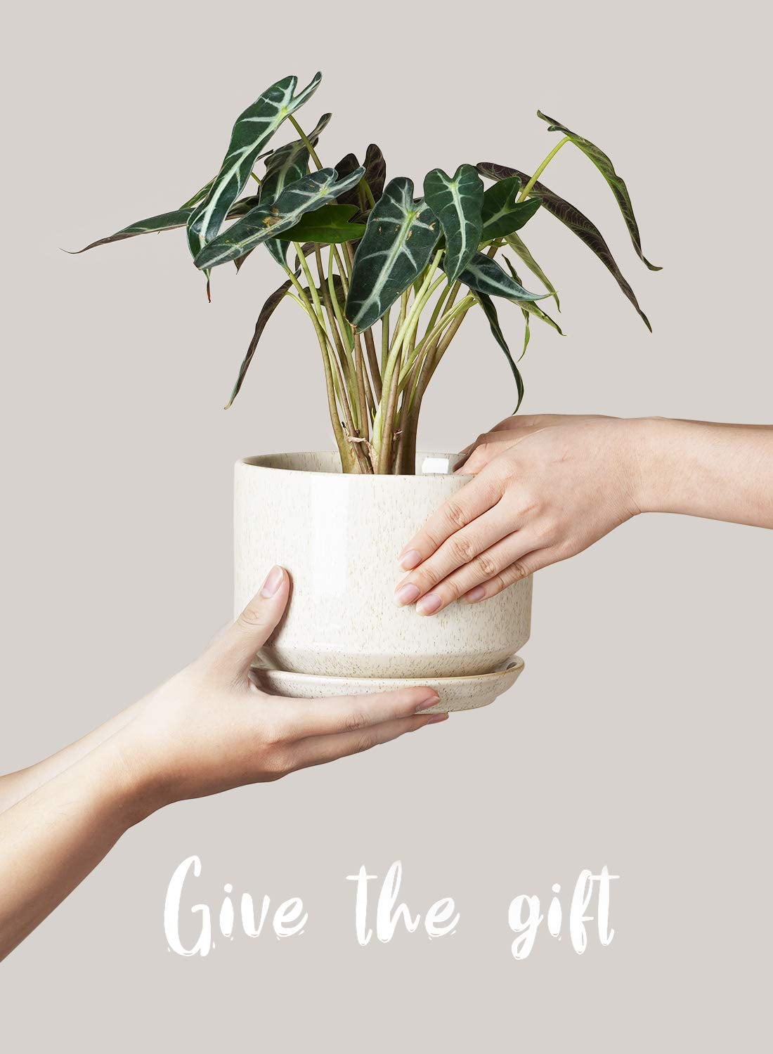 f72294e027fa2b690f8d2a2586e005fa