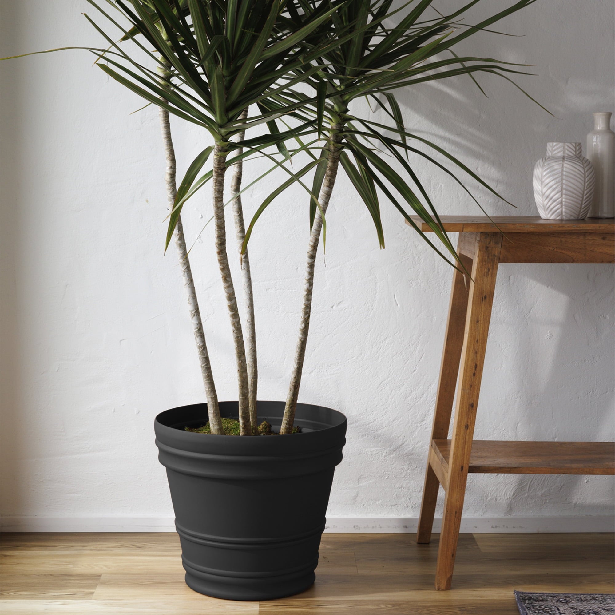 a1cc59ce293ca2bba3341026b4846299