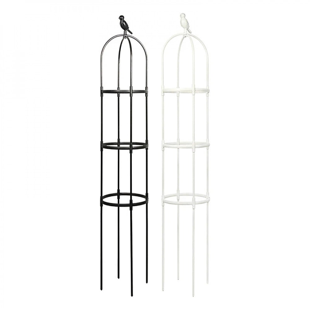 81aad0e186563ab53bdc00a7f9072c06