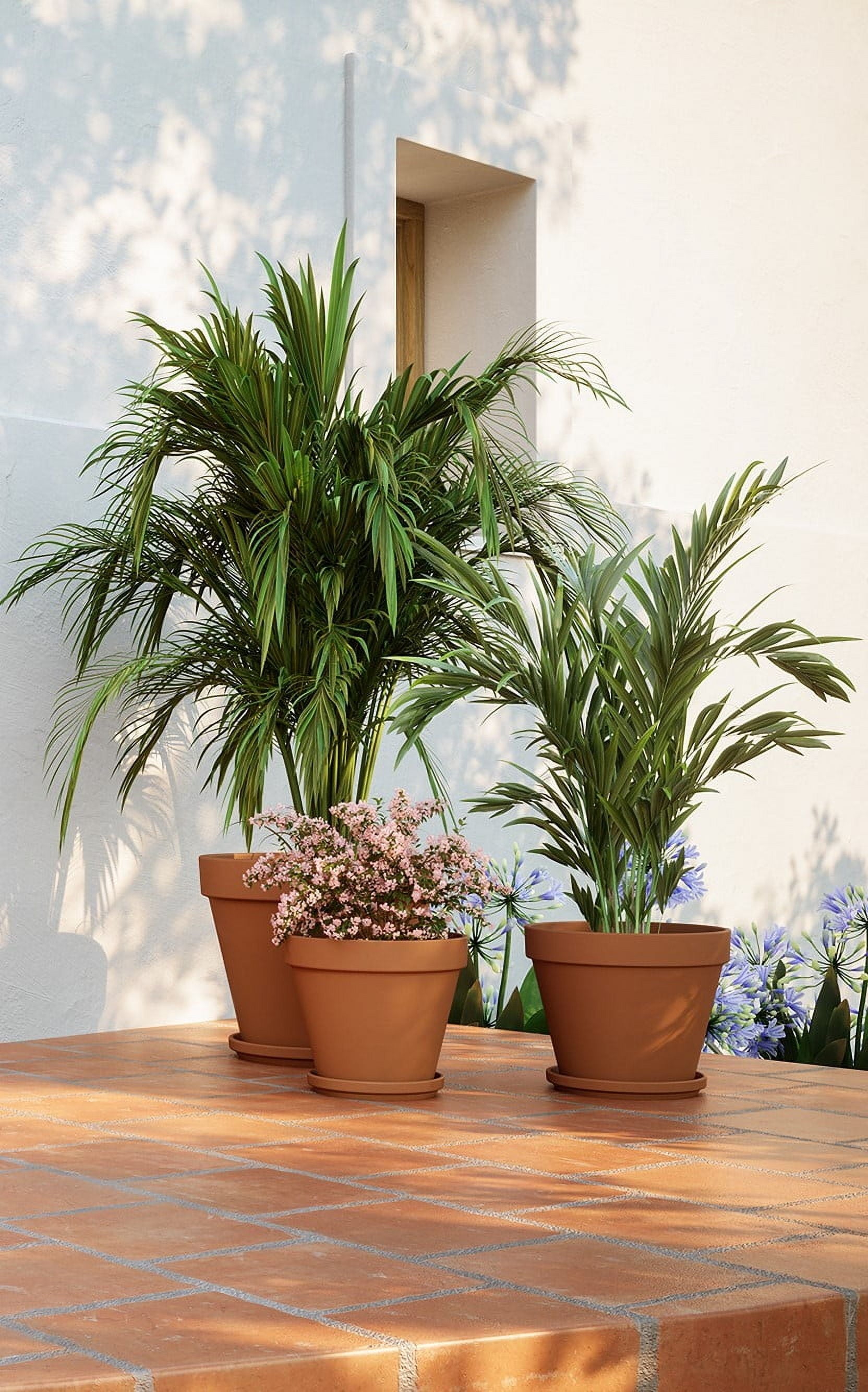 04539ce50ed03f8eca1d1743c35a092f