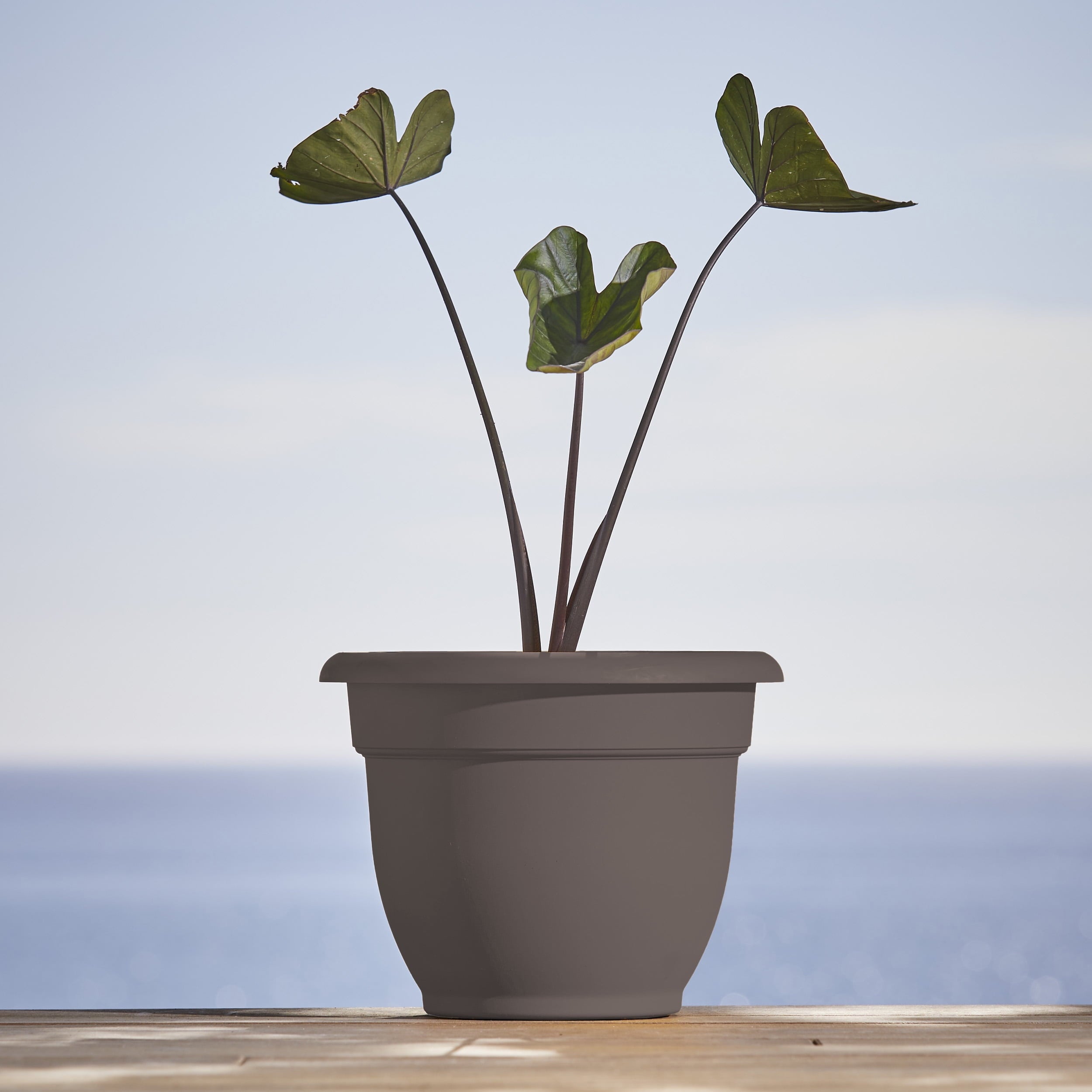 3e72bc3675c405857d2bb4825c871e1d