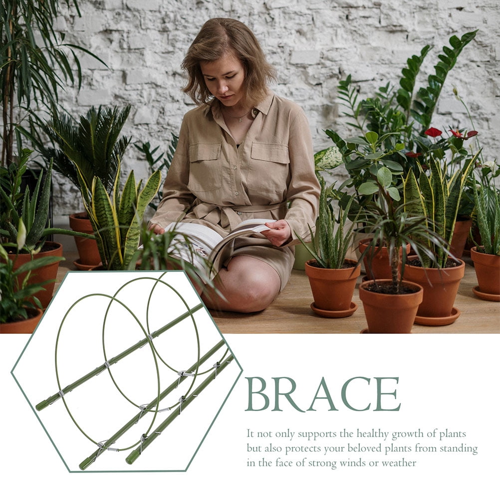 4ef49d07819b0a3032381203225d449a