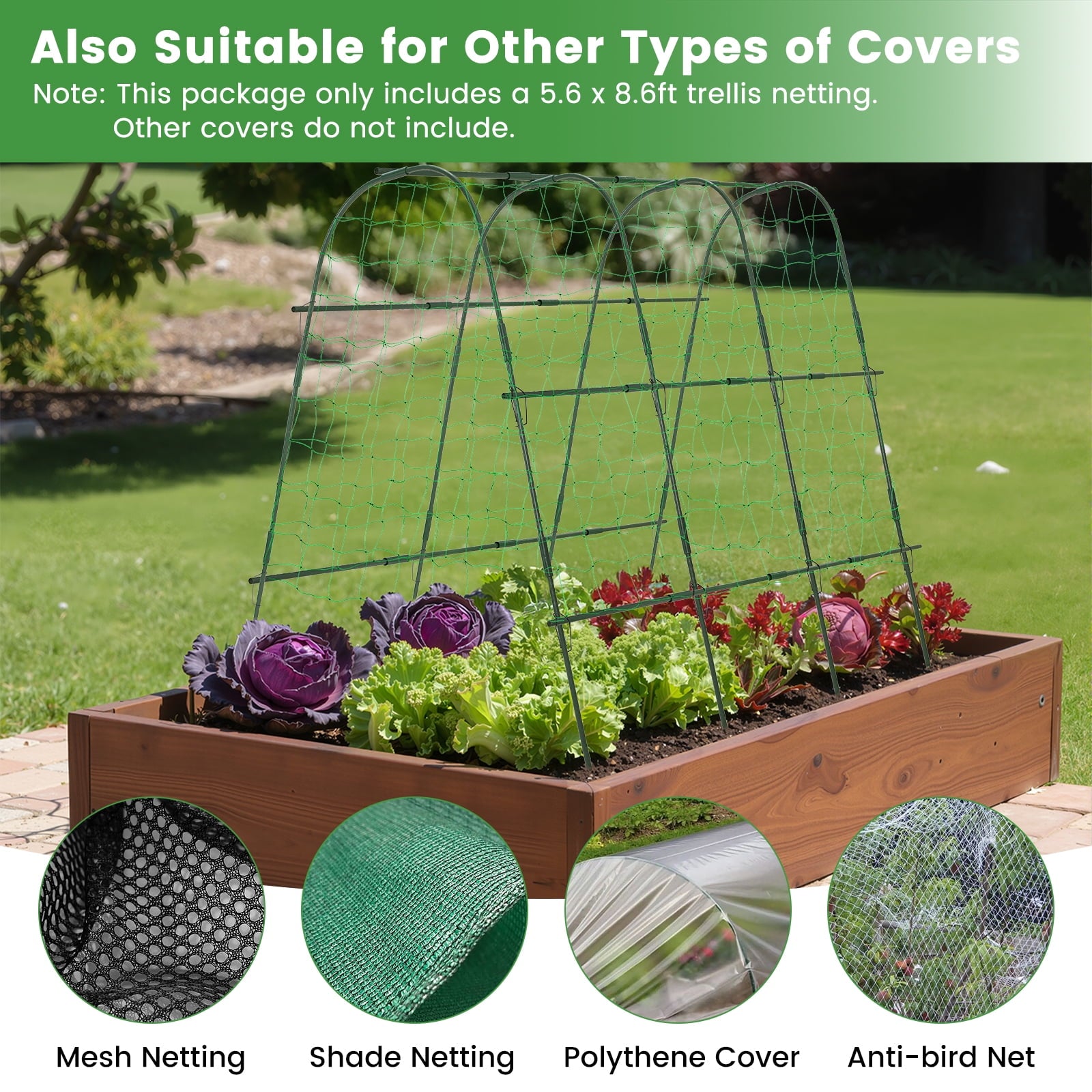 339894f97b34a2913bbabd3d717e17c3