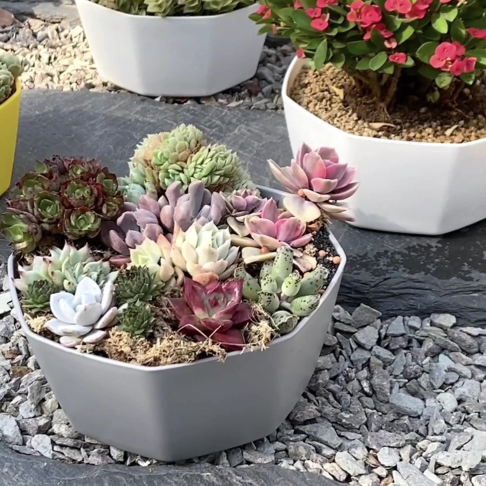 87fbfad9a67a091b0b17568cd4b12b34