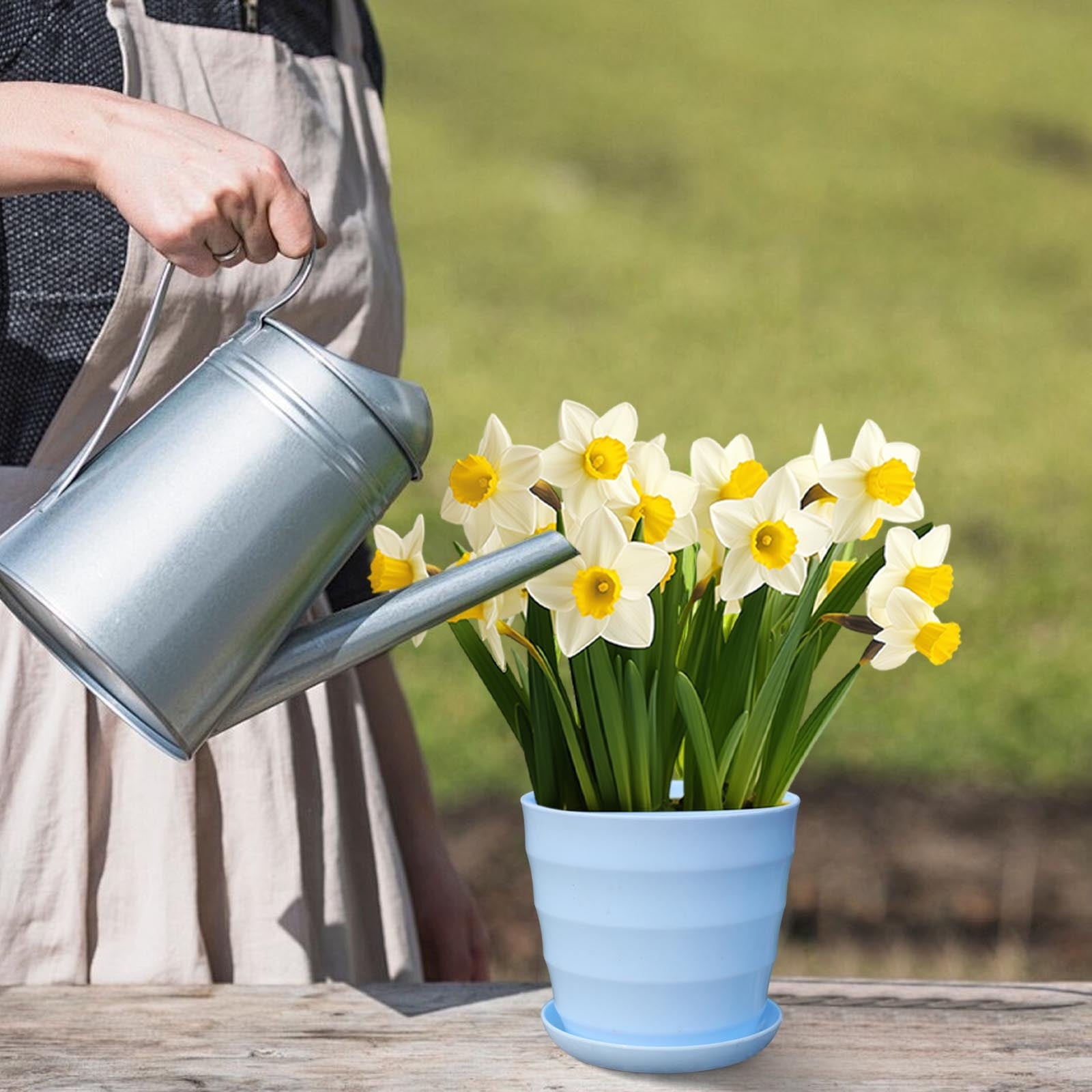 c3168e17aaf6664be70d5b231039800c