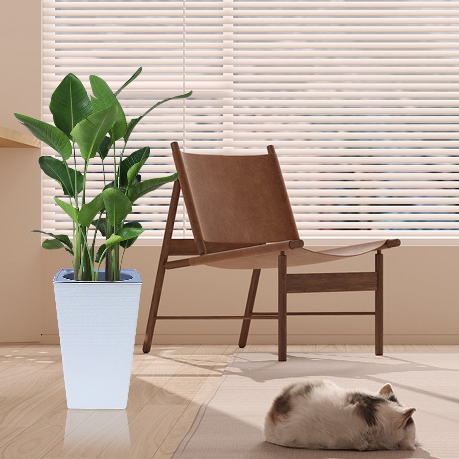 a9c806d25c9ca01b0c487f61844dcaa8