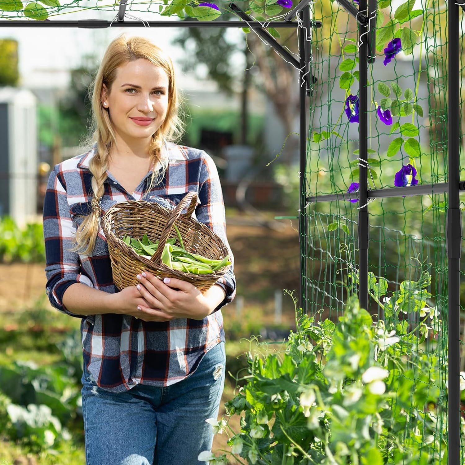 782cfc5334064e177c5b03f9e2d81559