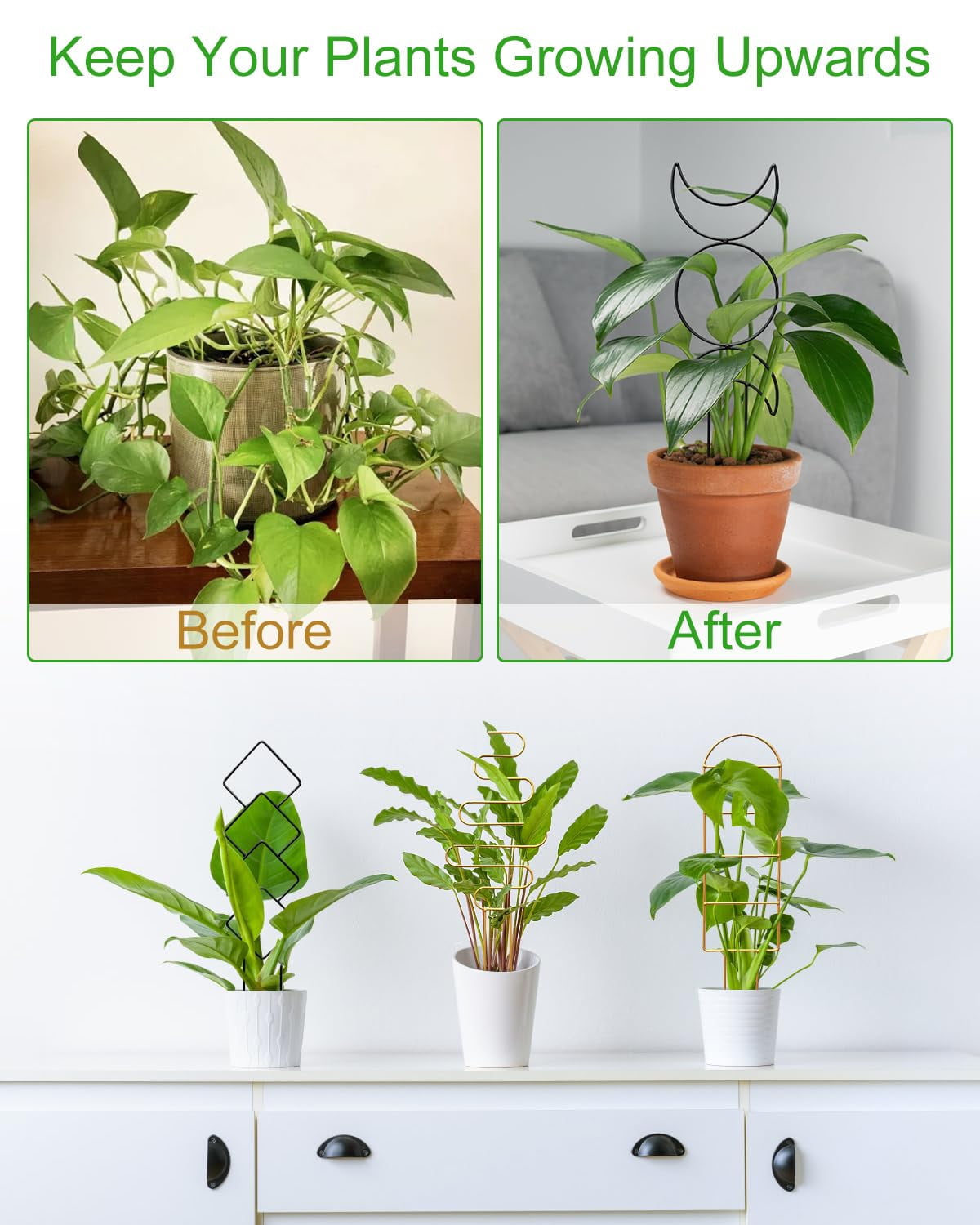 52d14d823436407ab2921a79102ece41