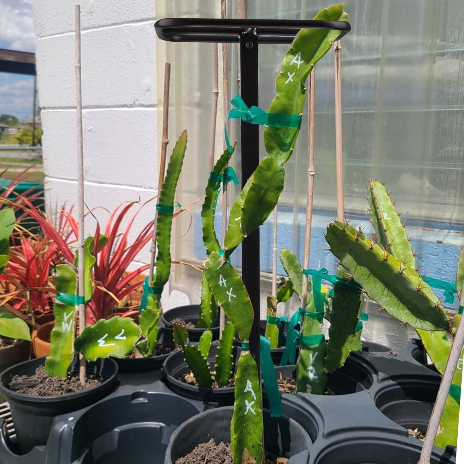 d9897131297fb16c973c6eb45375648b