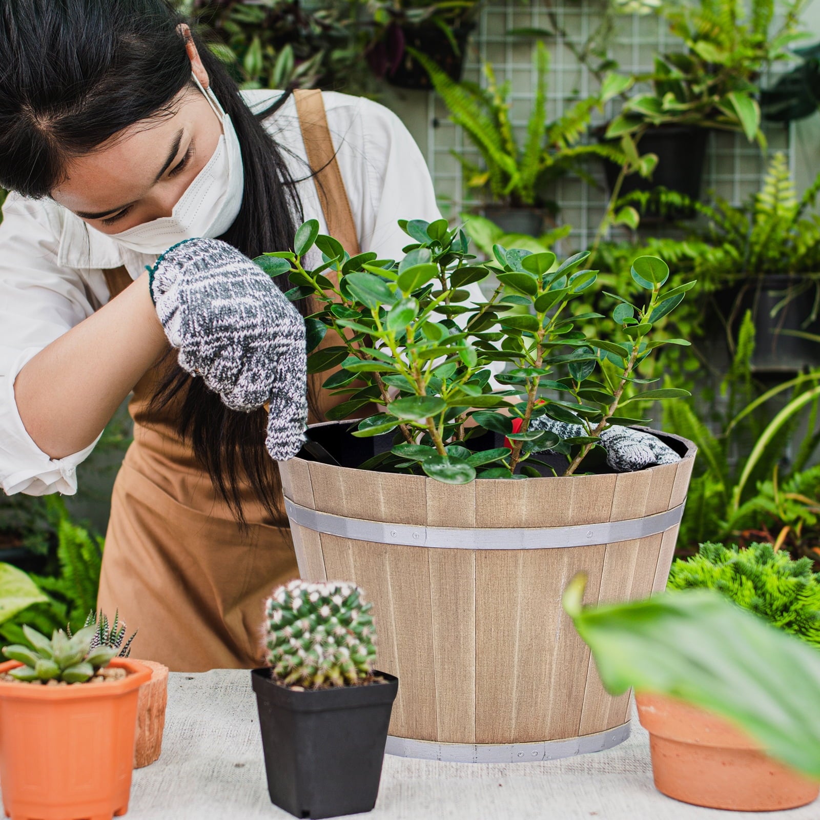 17262ada691a259d93c214862f1fce73