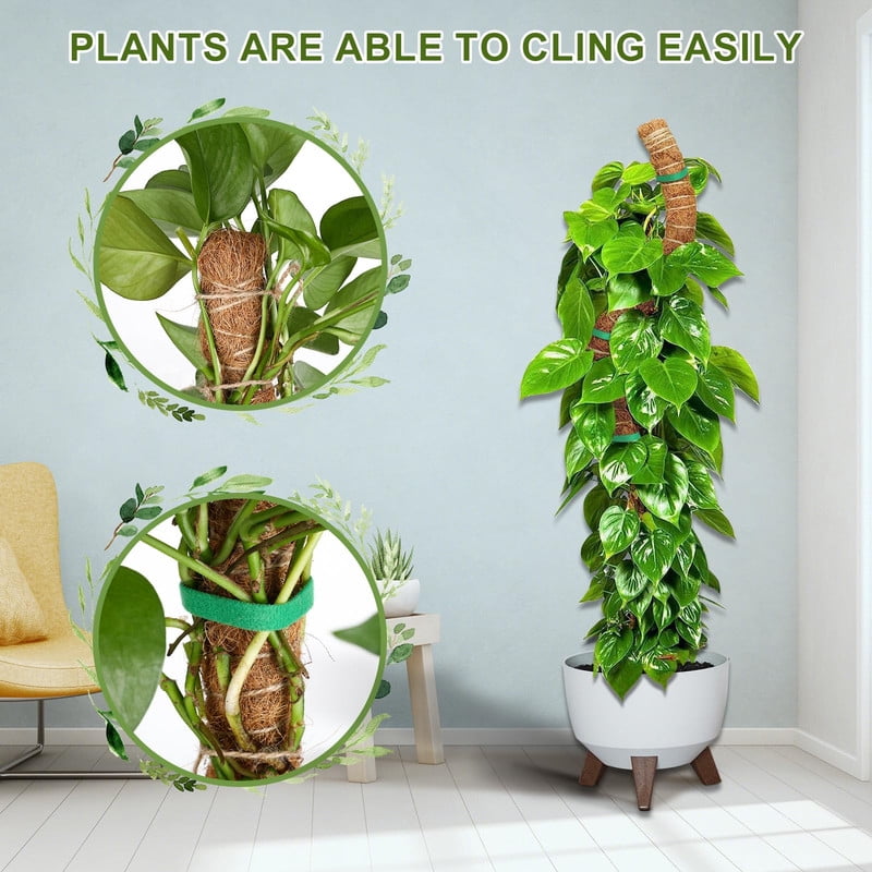 1cbd9e6db1d2eae49eb597007b511af2