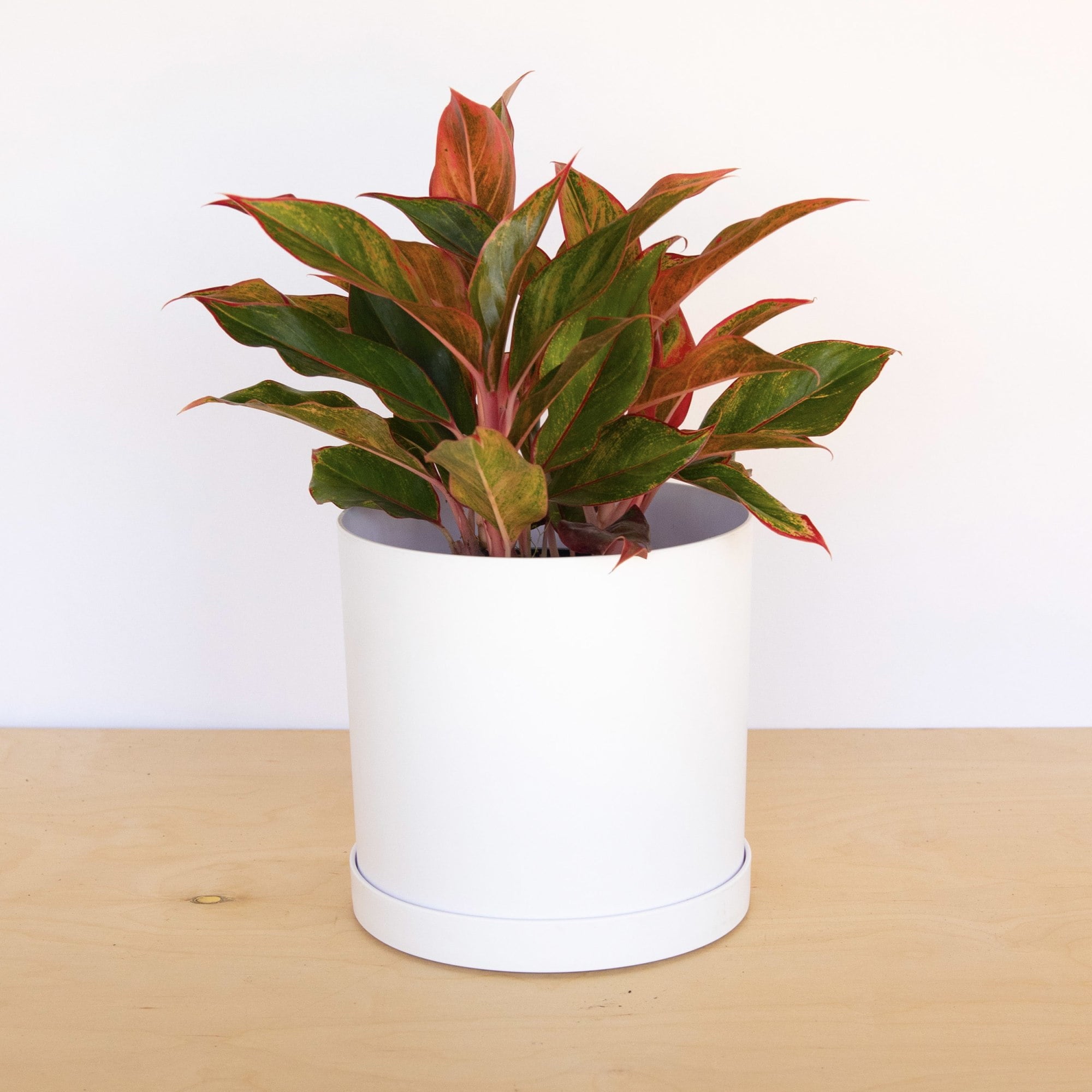 cd193c1f994df5d6d7661271efe3a1bc