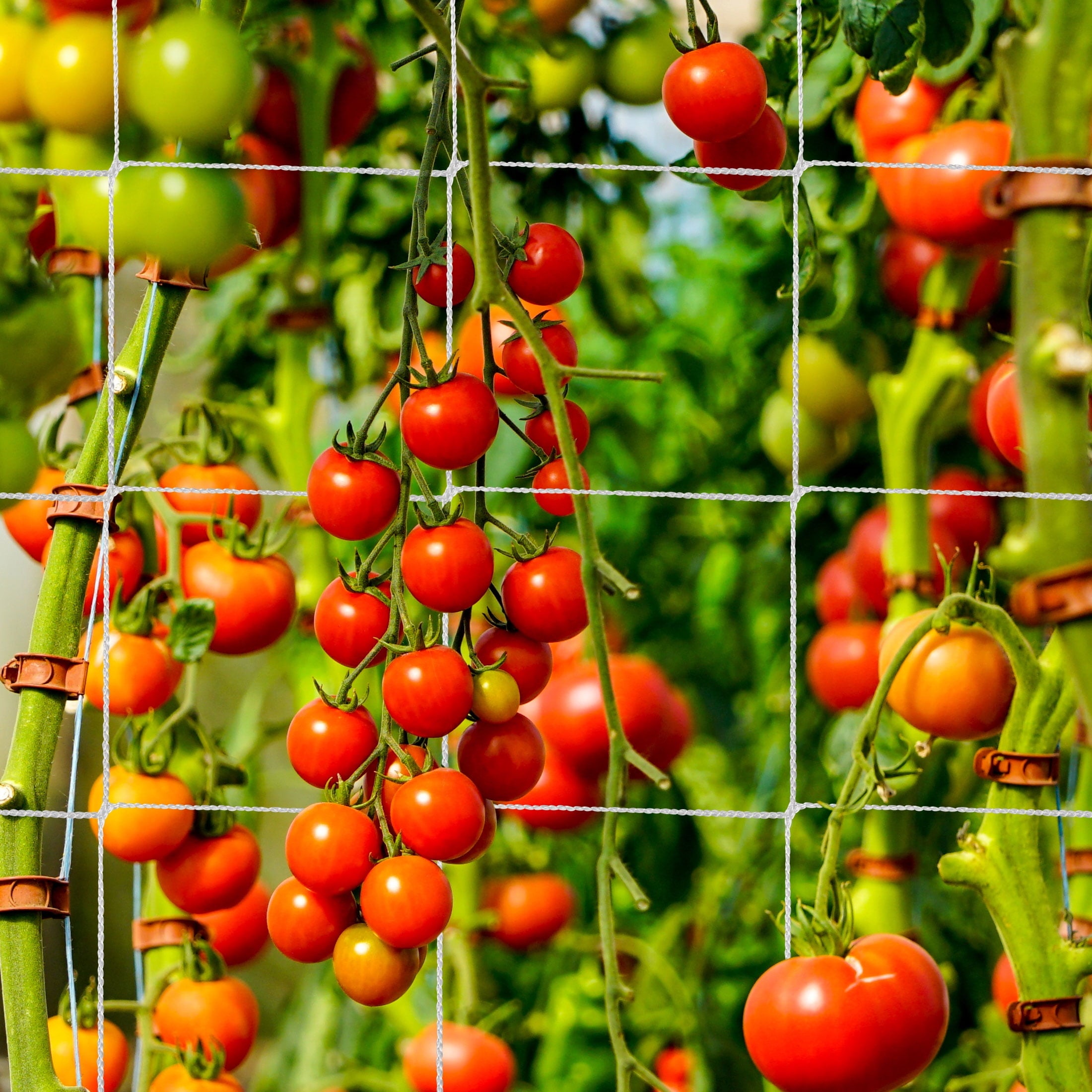 b3ccf215985a816d1551ca3867cf2cf9