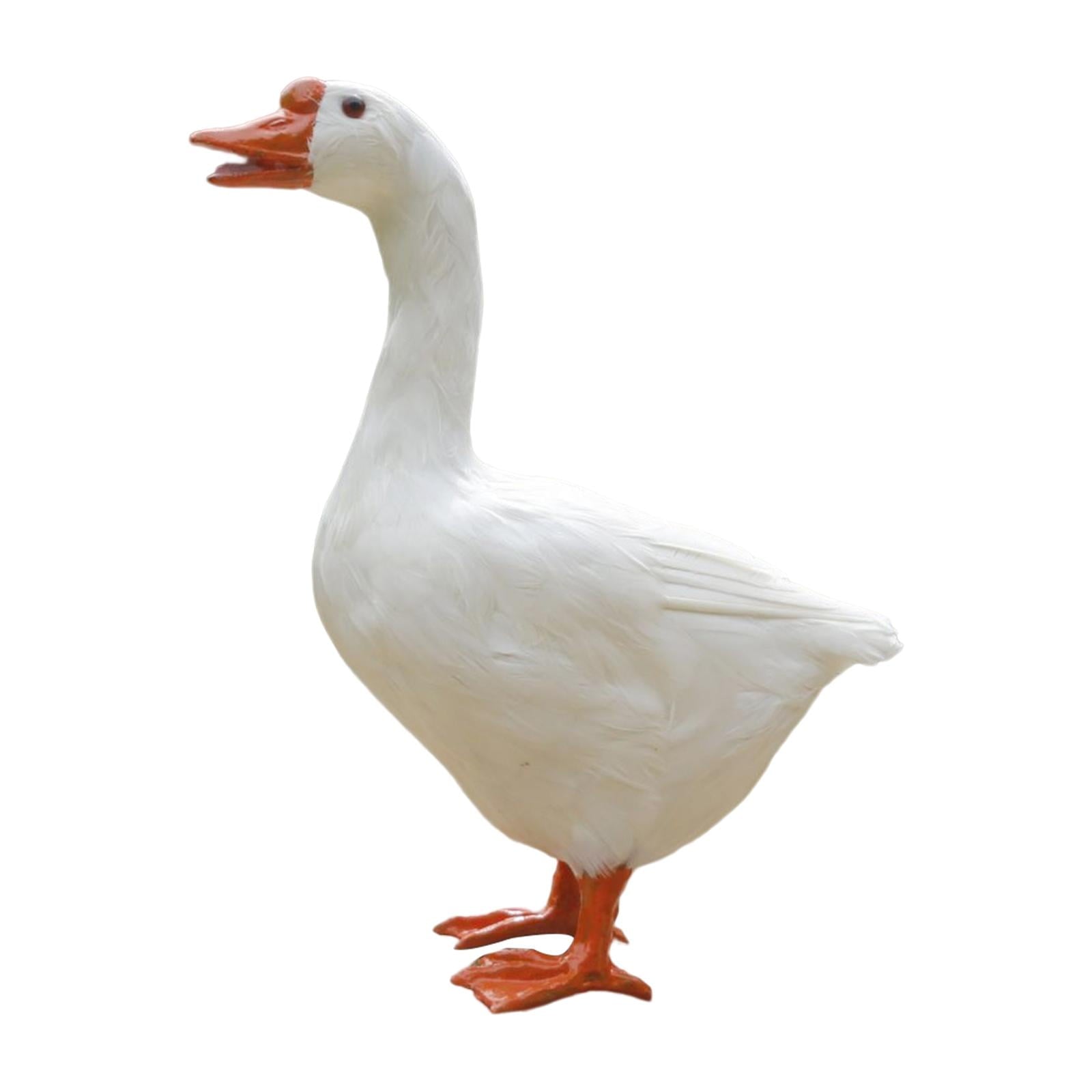 123eb6bb80e7ca3ab7150ffbfceb82b3