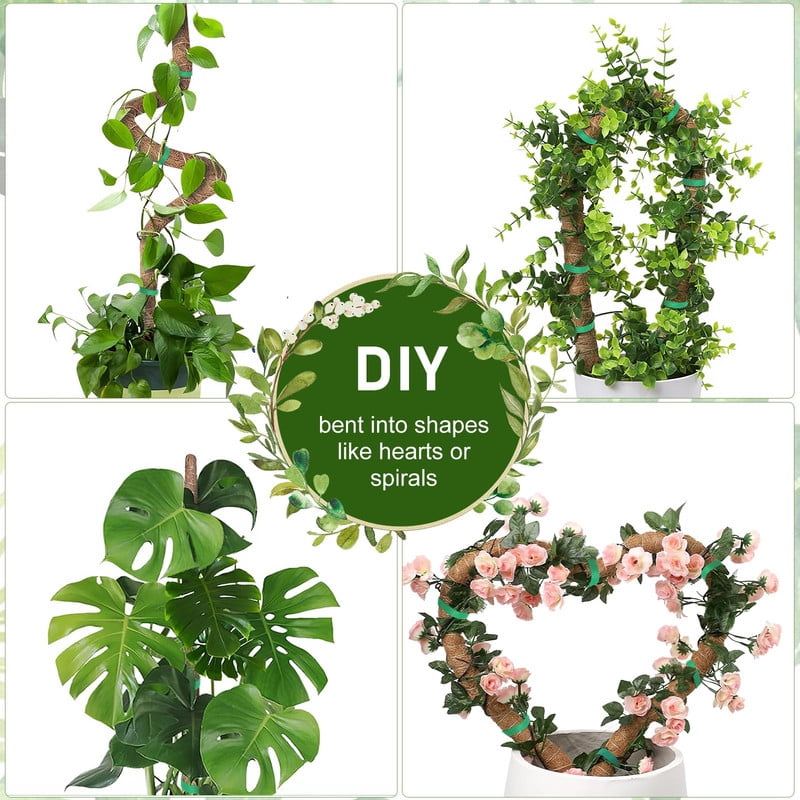 0f8f64a48c564475f3971455ad93eda6