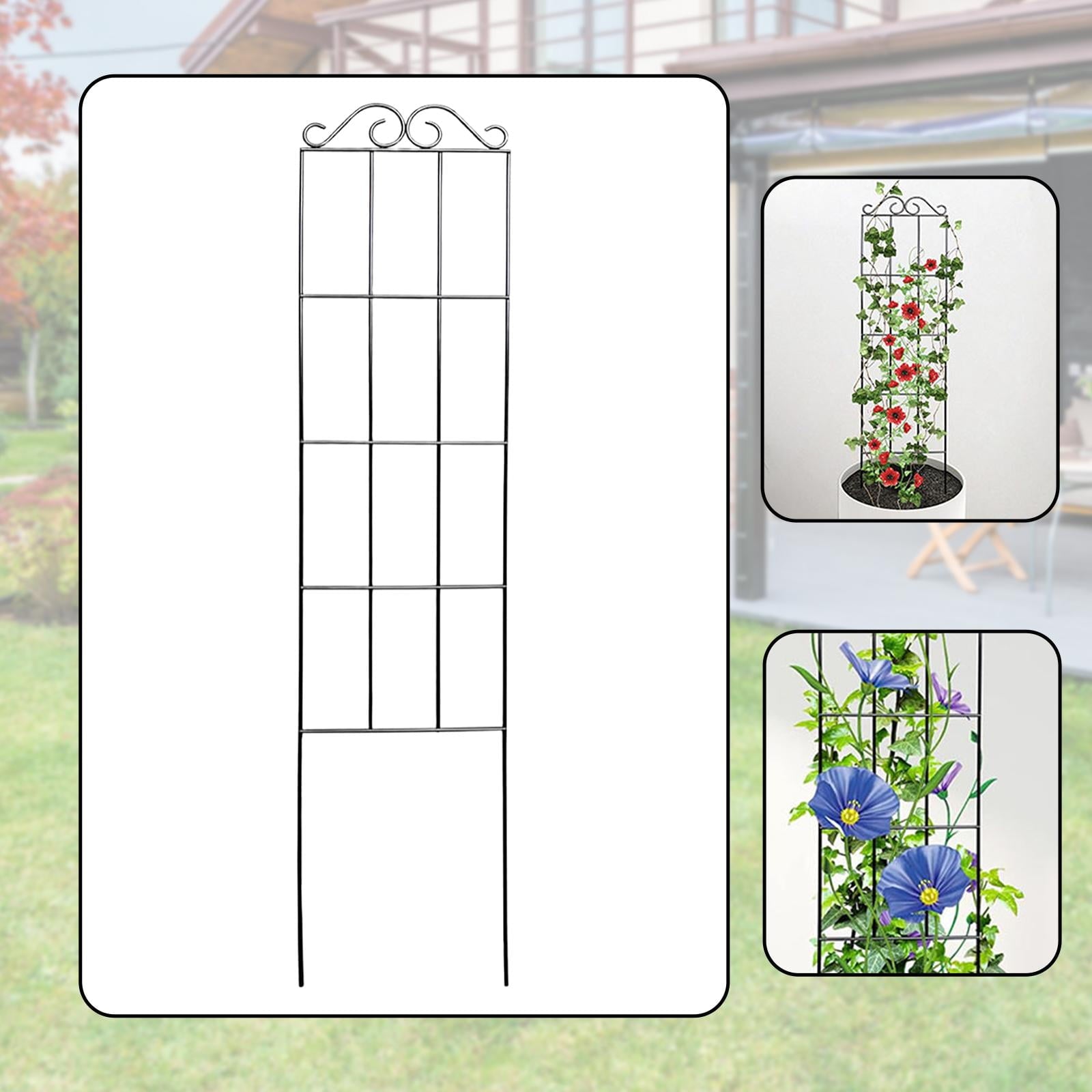 6eac6ae7ddd80ce78772785a8a33d0a9