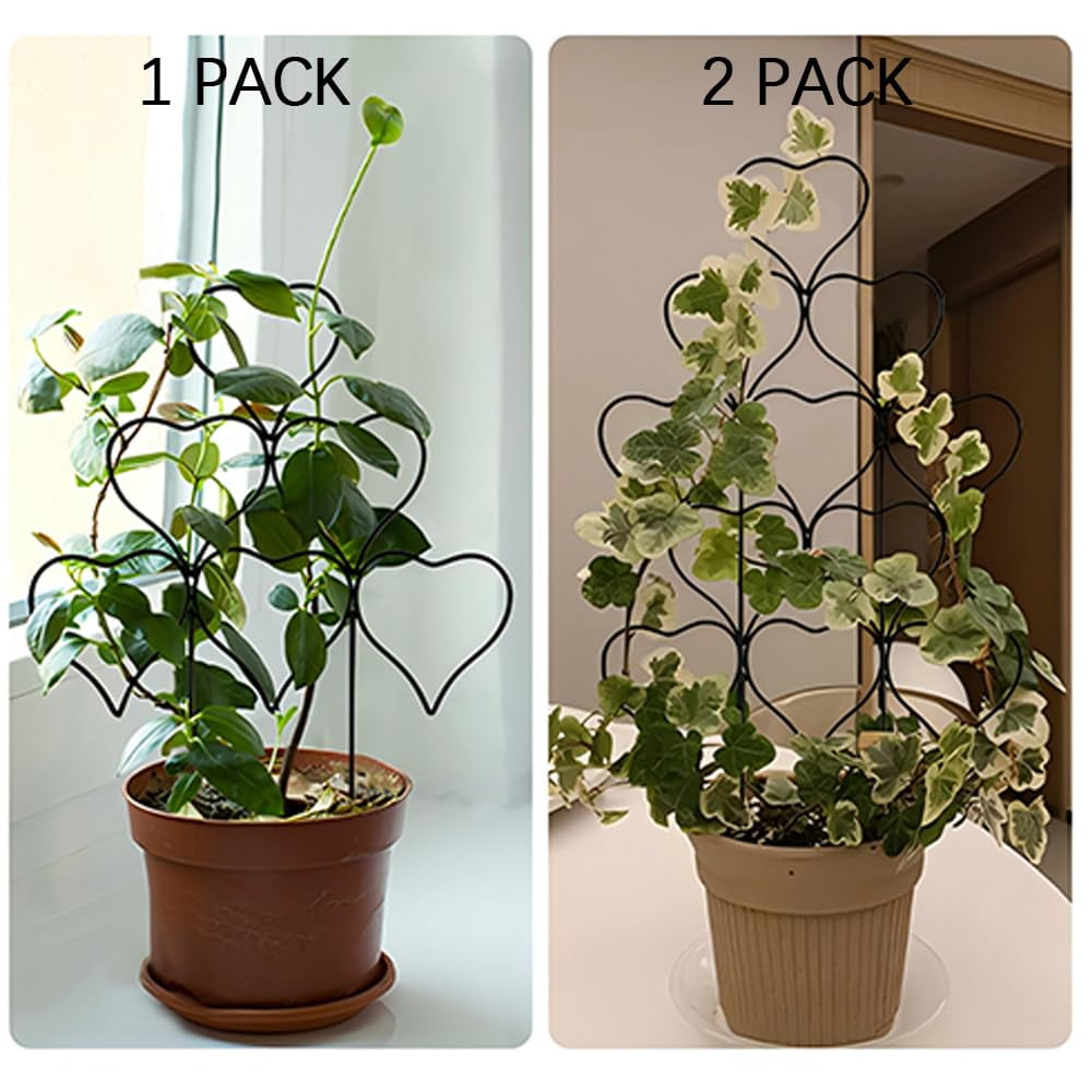 99d516a4c1e238d27a29d862938e323c