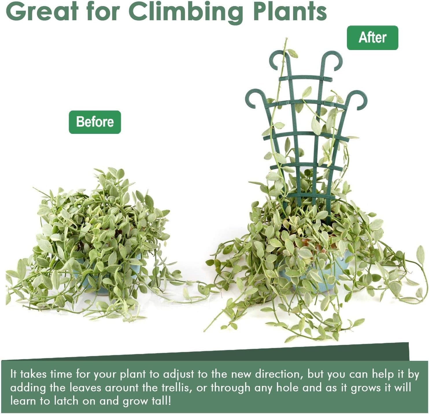 3ef1f3e99c958c5c88300ee81e770ac2