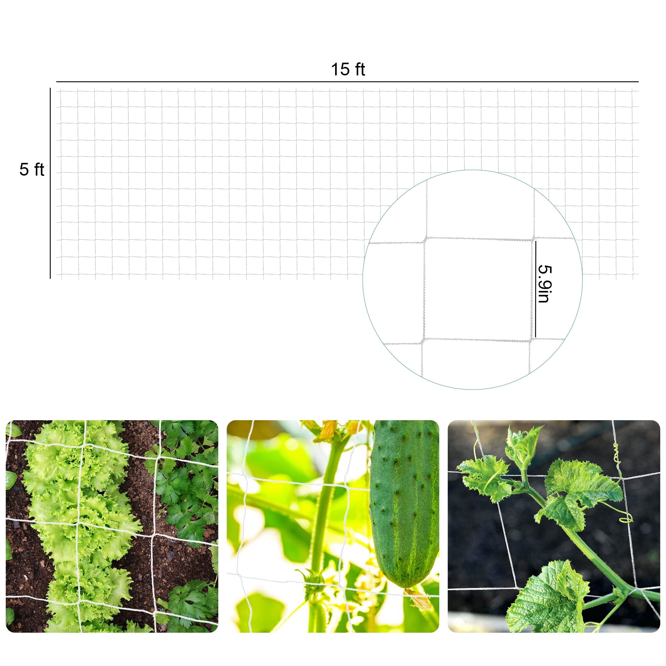 8a4d9760d2cdfce6462d327652c10a95