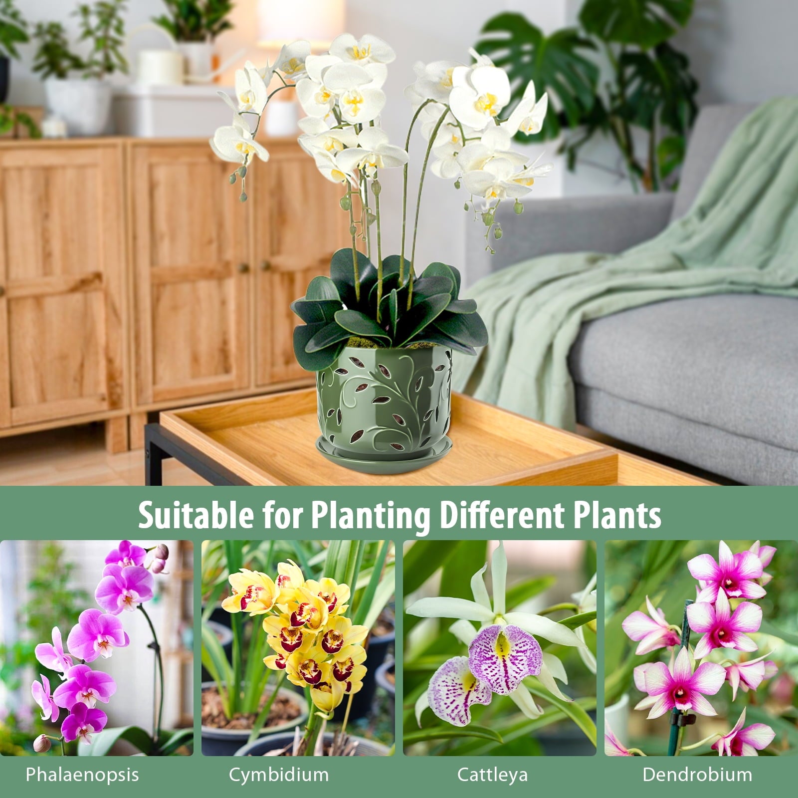 aeb3dfb30269945bf18b4832555158b2