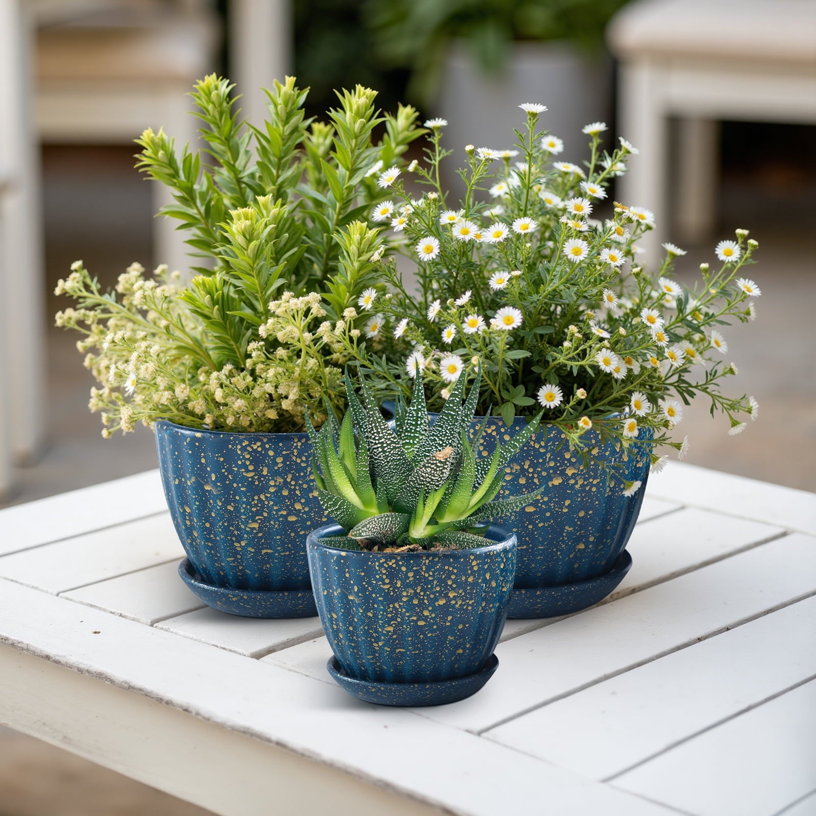 d5e604d301167f5bf25ba819ab3ef5f6