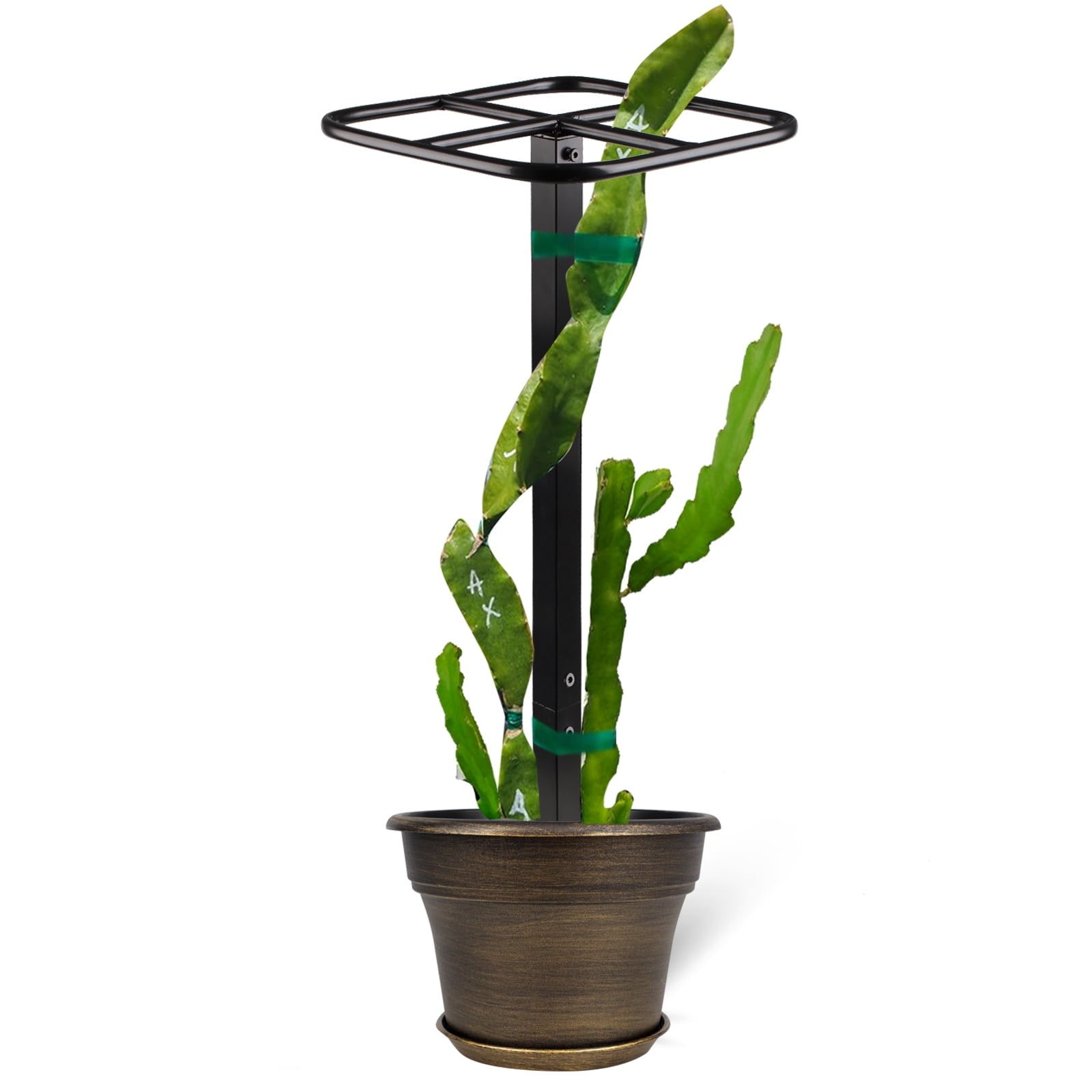 faa6f4c75acafacde7d80209a2ddb35a