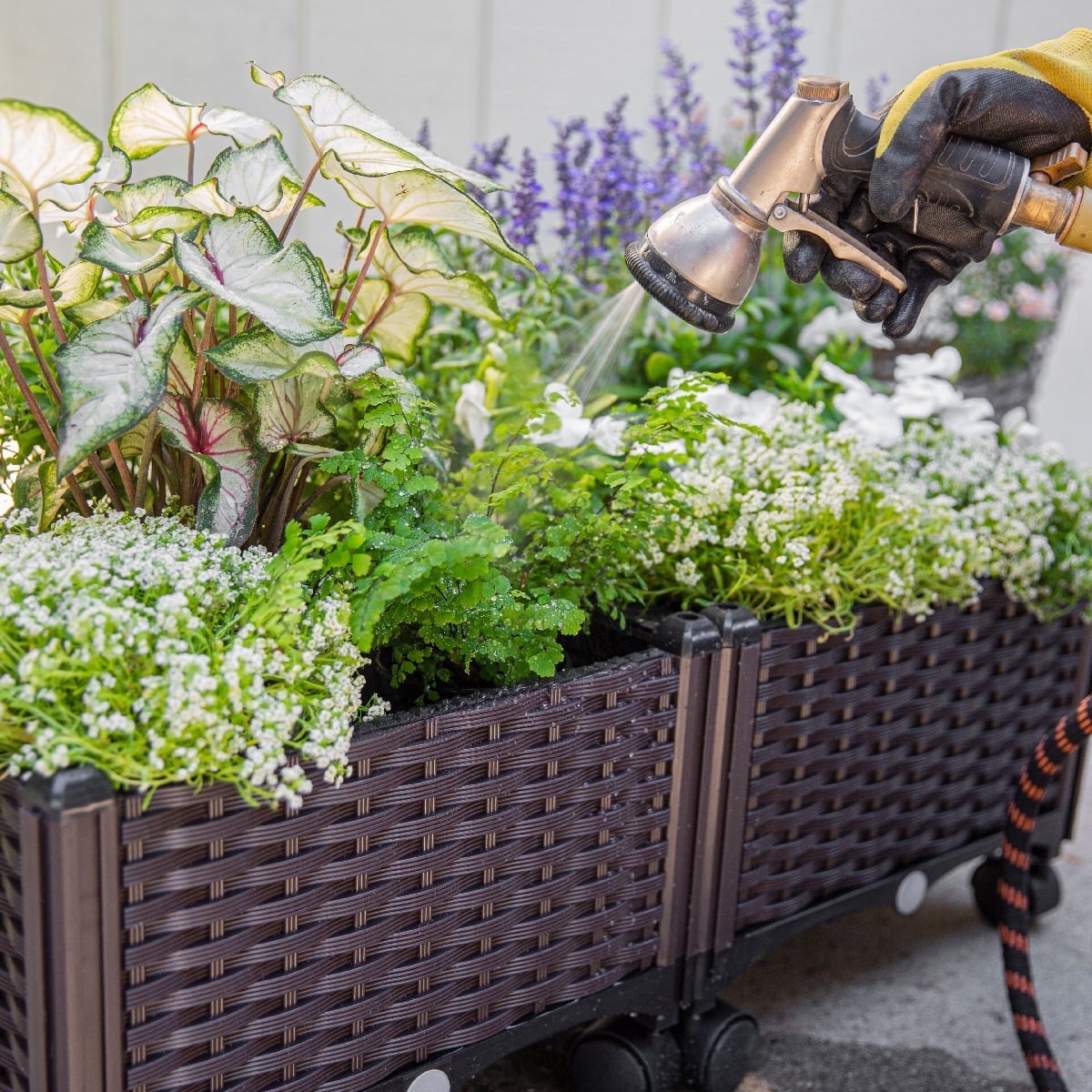 ff08ba45e0d561e601871f12ed44b3c0