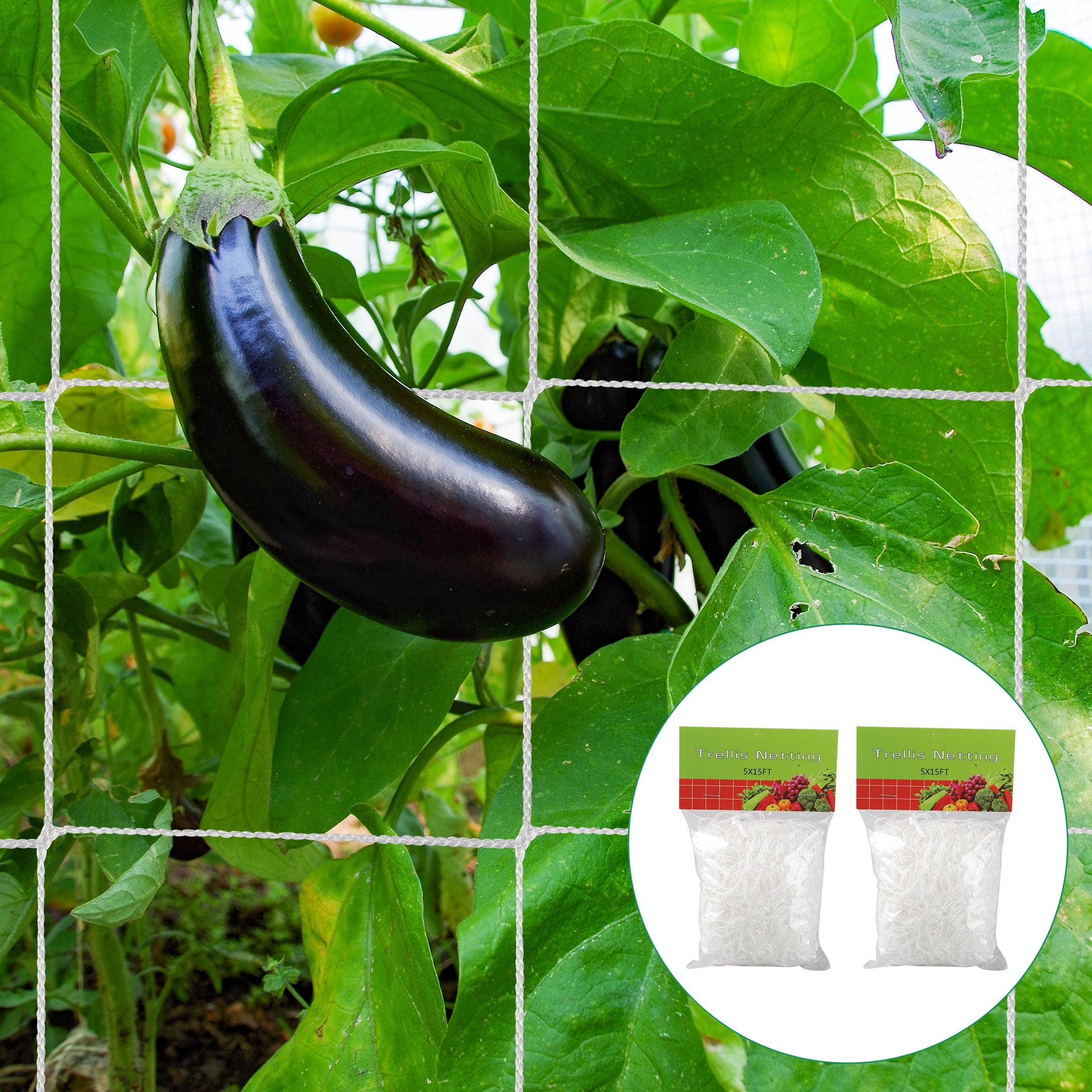 8a4d9760d2cdfce6462d327652c10a95