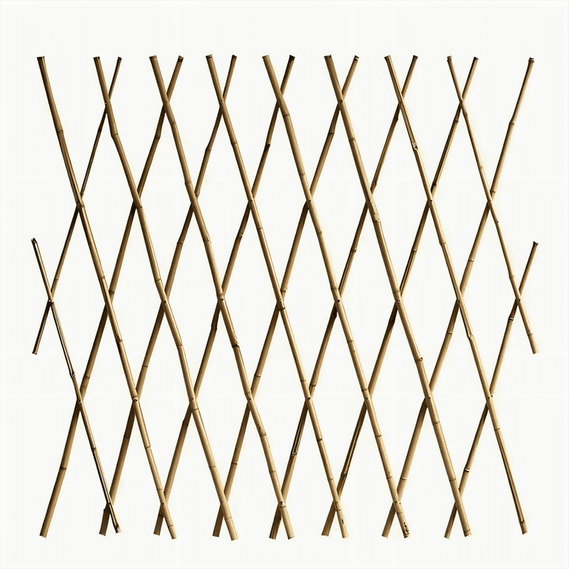 2cfd278ac486a7237b0aca4b78eac31d