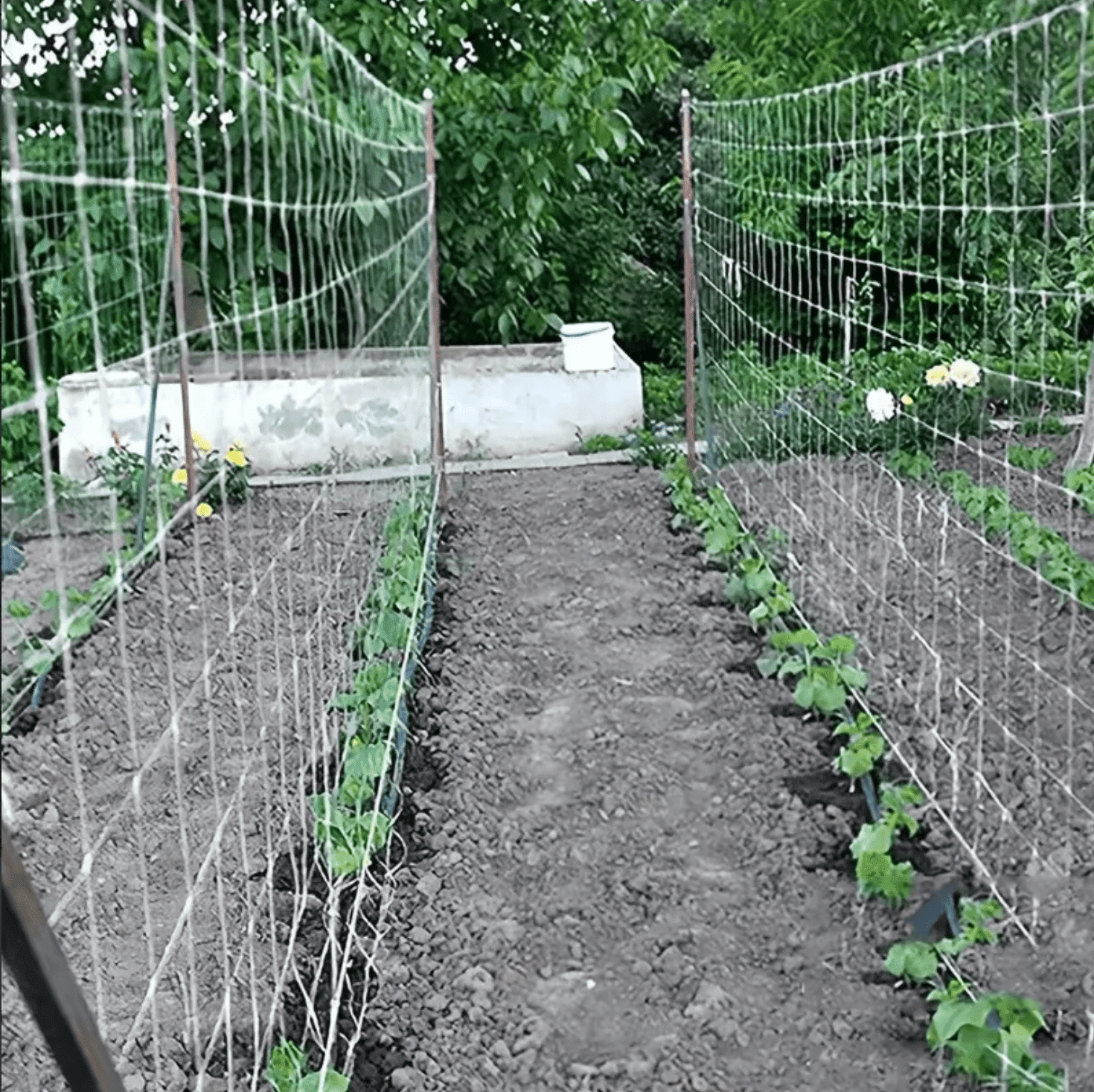 f680409e3dc64f3bd55189532cf00741