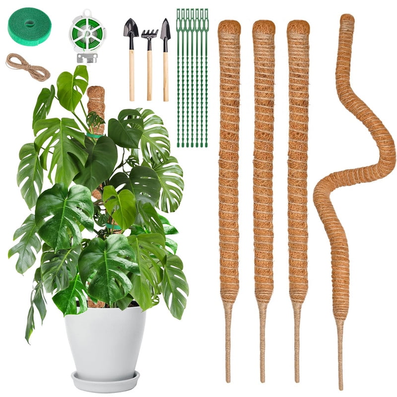 9ccf27596eba884eb239a15c9de6f57c