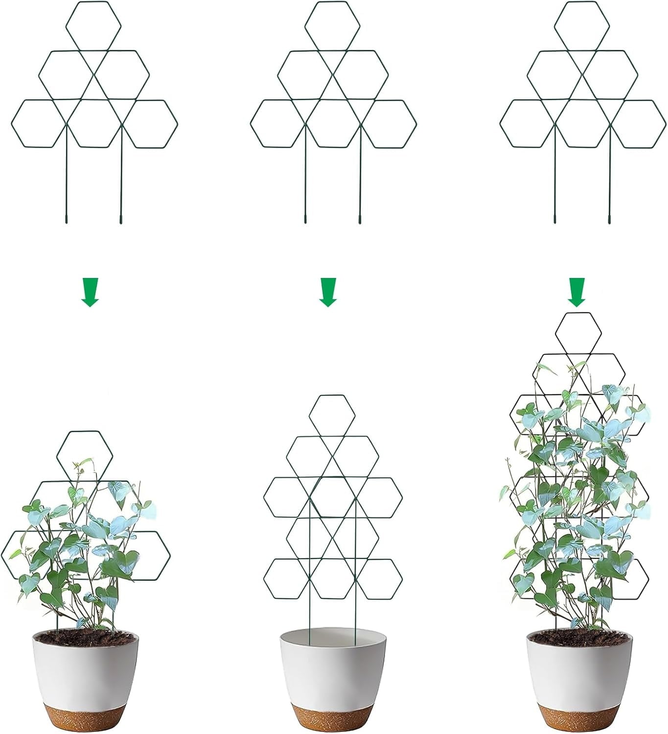 2e04e2decf4ed870ed469e4692505377