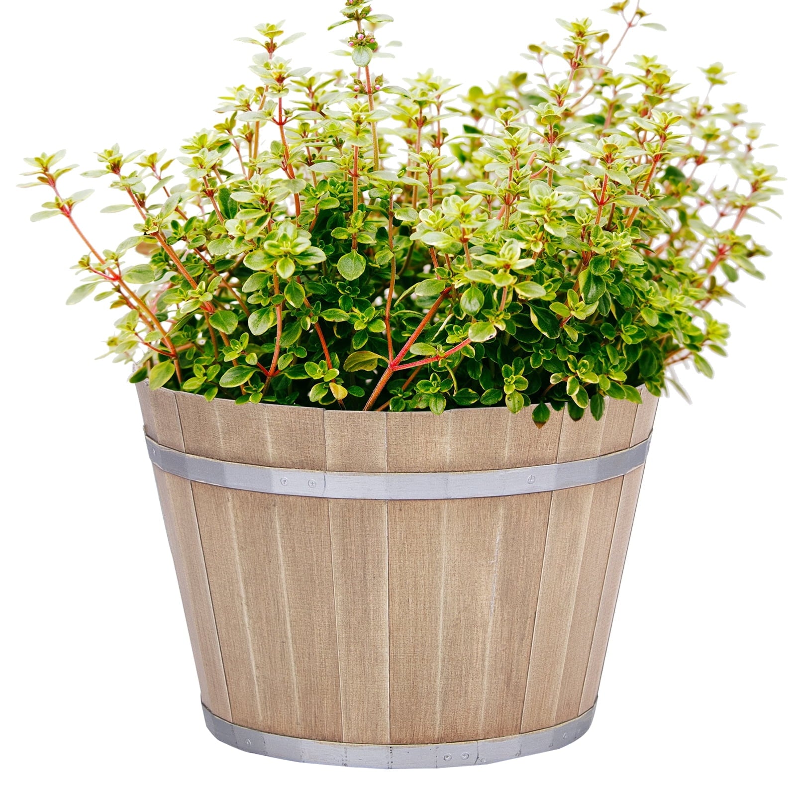 2904927dd9c5c89df9af6fd6e48953d3