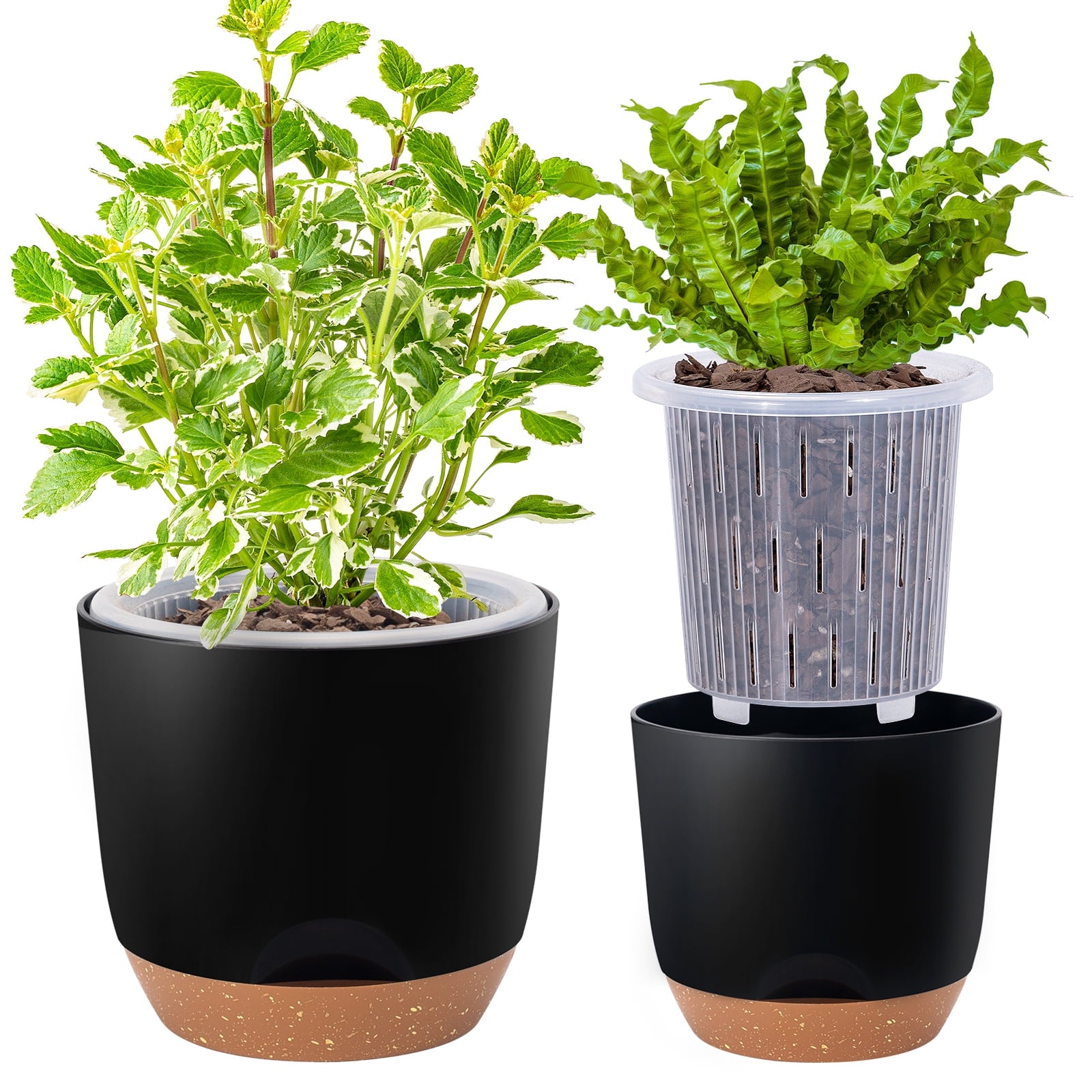 76f459c7a4bfe349ff31cde08d177235