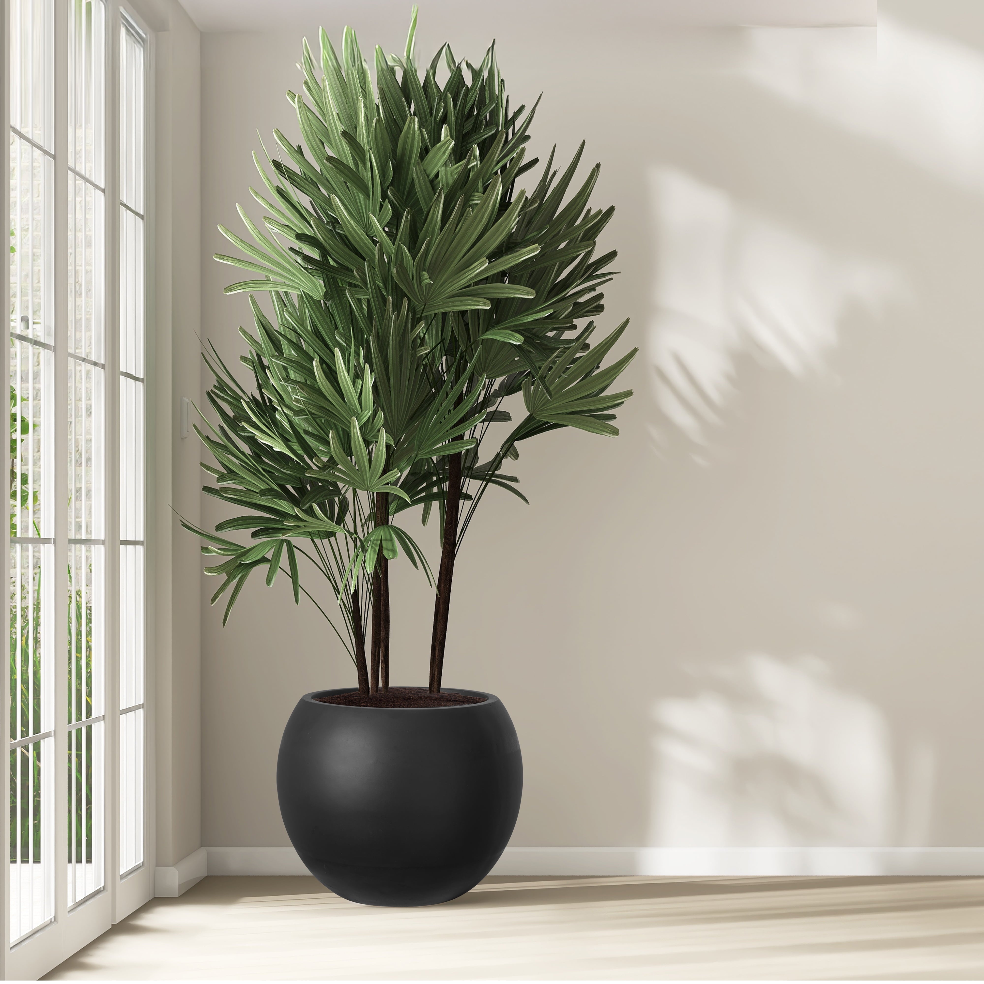 c3214a3d064759f73b16a4f4075709c7