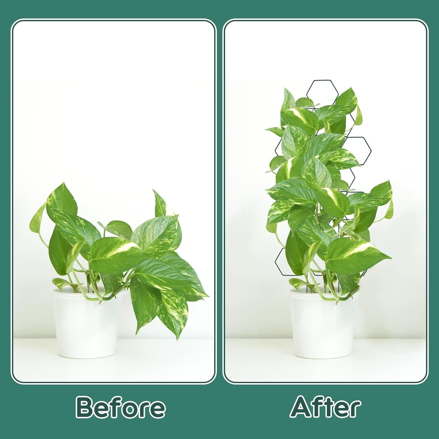 bdef3af02750cdd1ede52a47740ec7d0