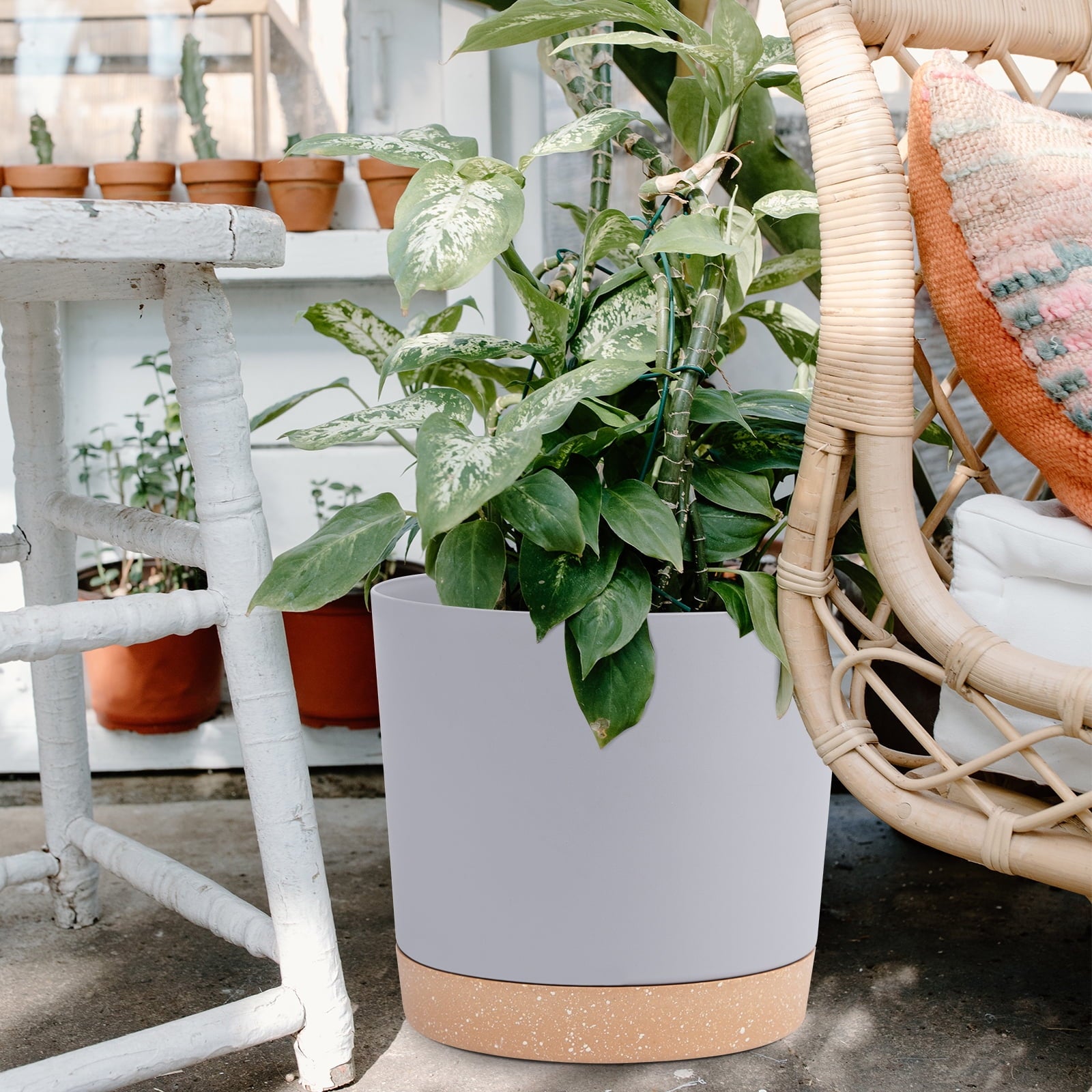 e34972b7d65d7739d4aaf059a65f1593