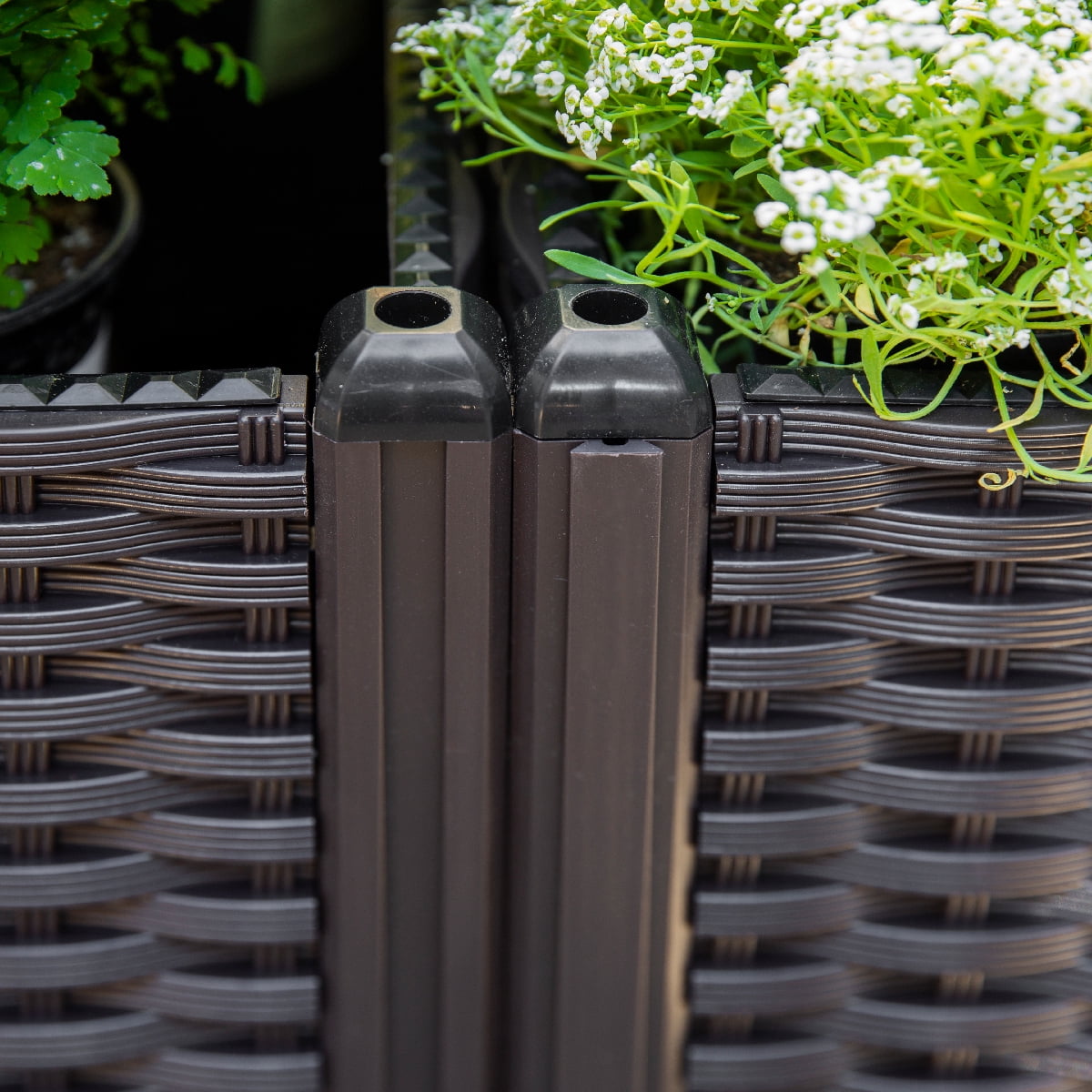 c4524ce677c54effd30cf3d6460c8ceb