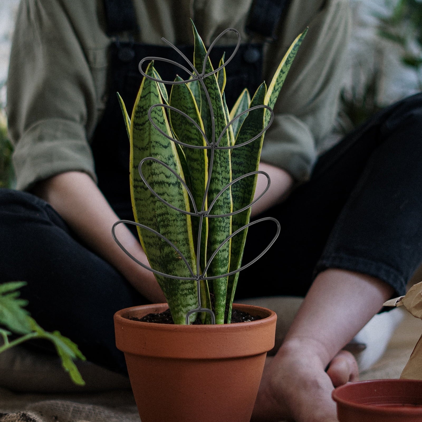 e9753ced8d152048f79d08e4a5edb935