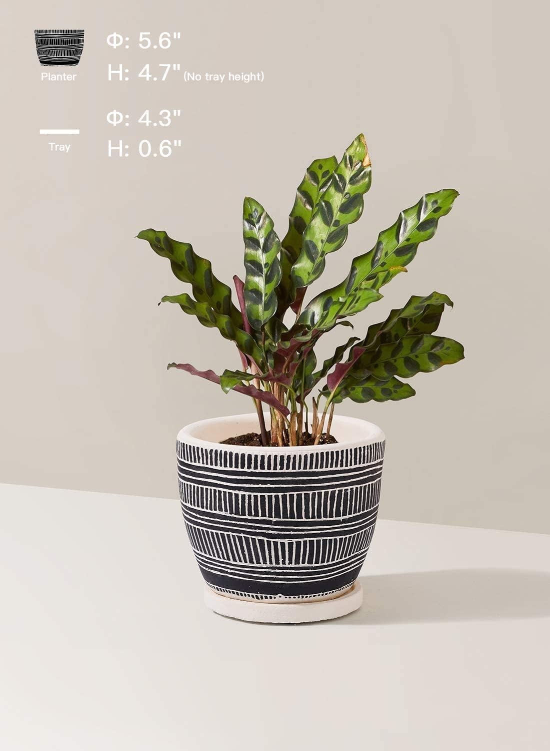 775efa7260aae008326f397356b95929