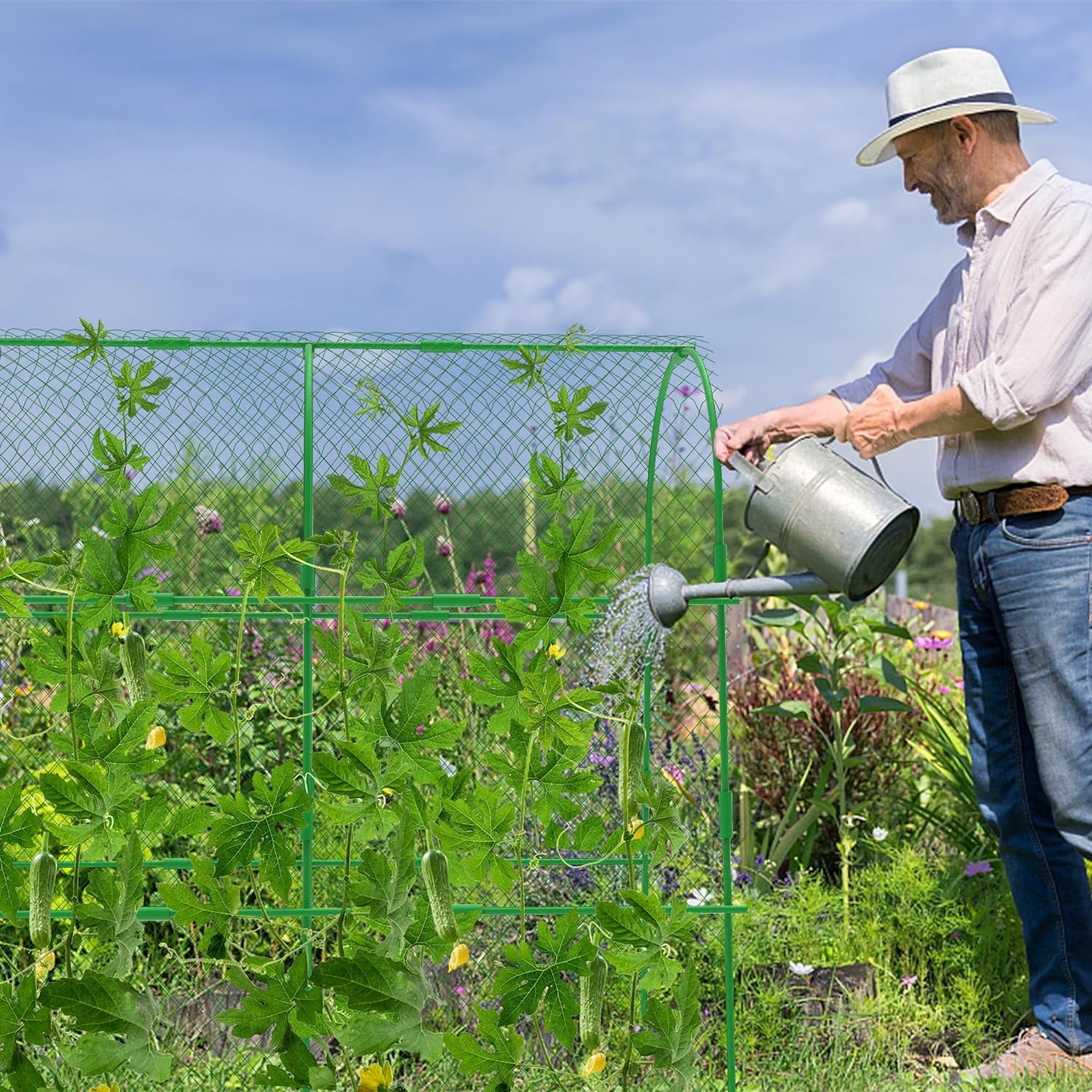 96d4c2811a866f80234c051865bbf65c