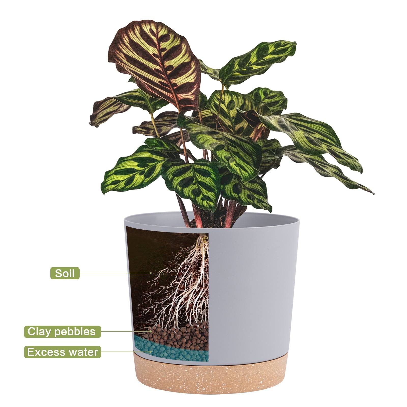 93b380b68823f4dd27f22f8845f4b336