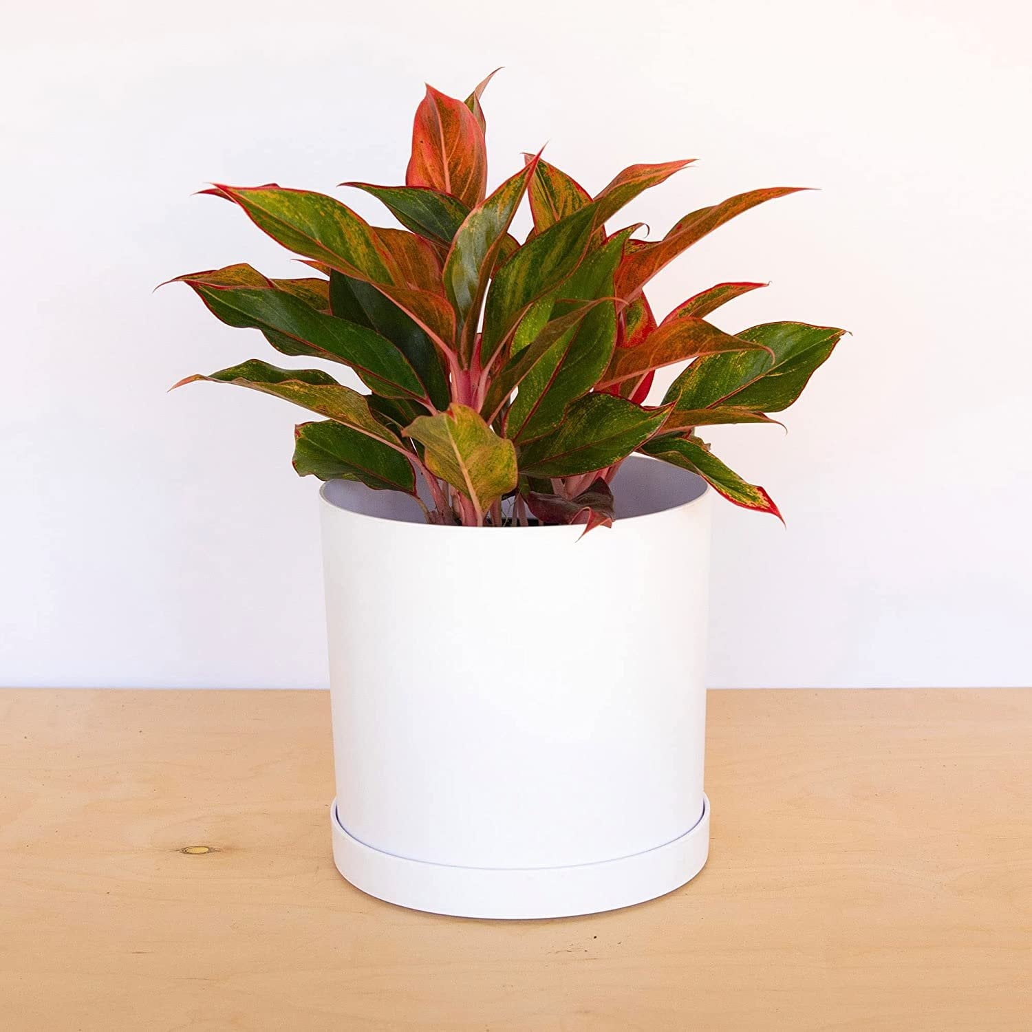 783d641099b52d578848253a3fdf6fdf