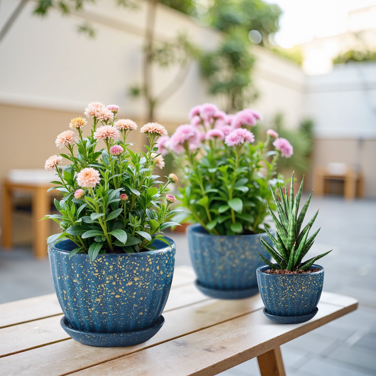 69c67267f8e25a90e2e113417adee121