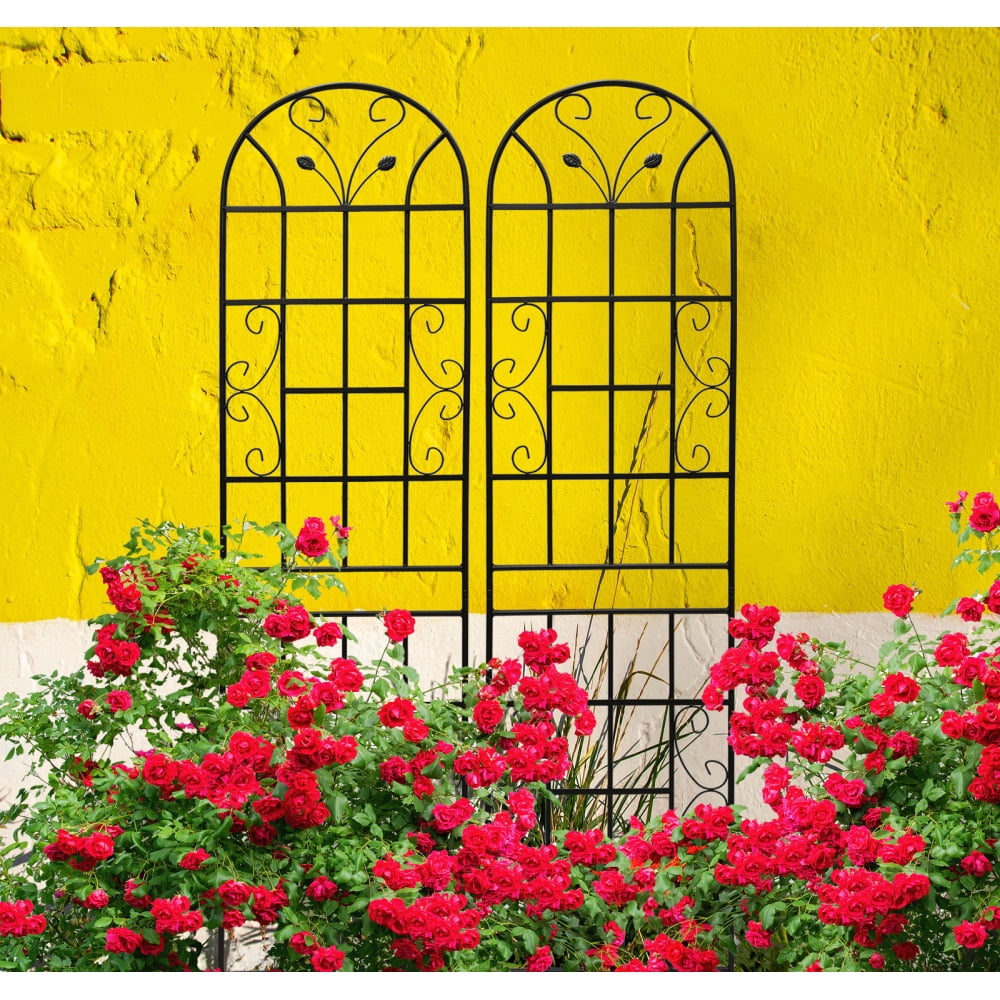 ba52aa8d5bdce3cab02a9003bf4f4be2