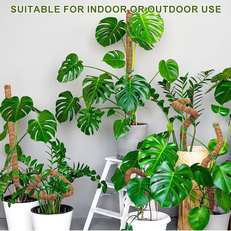 8ca50fd2ee6564a555764c19a9ea8ceb