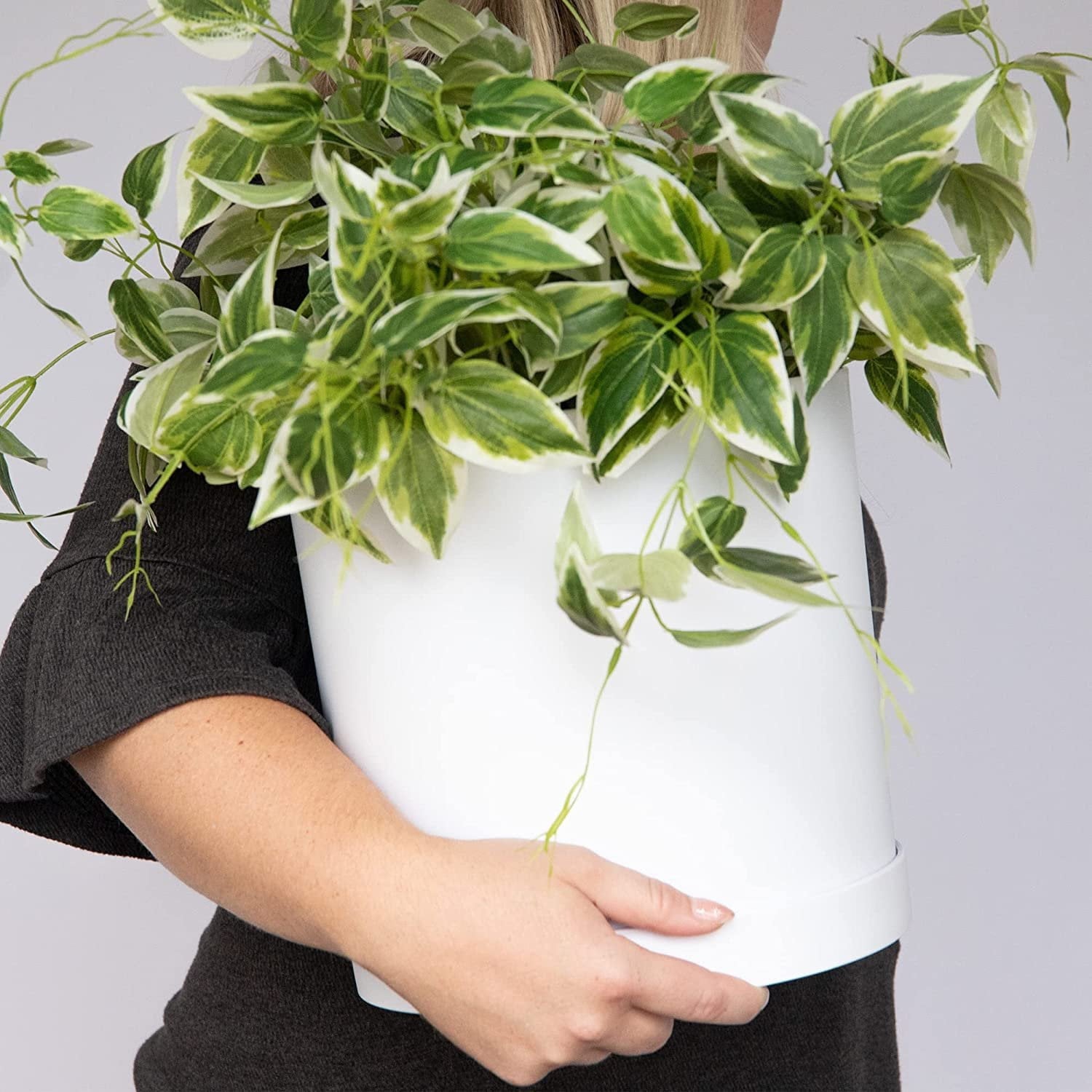 f49642a504445f308a3940b4b41d5d46